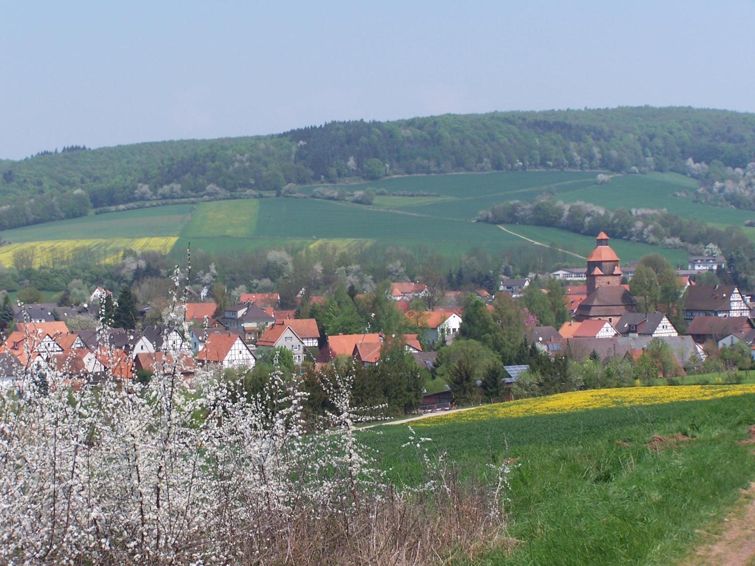 Photo 14