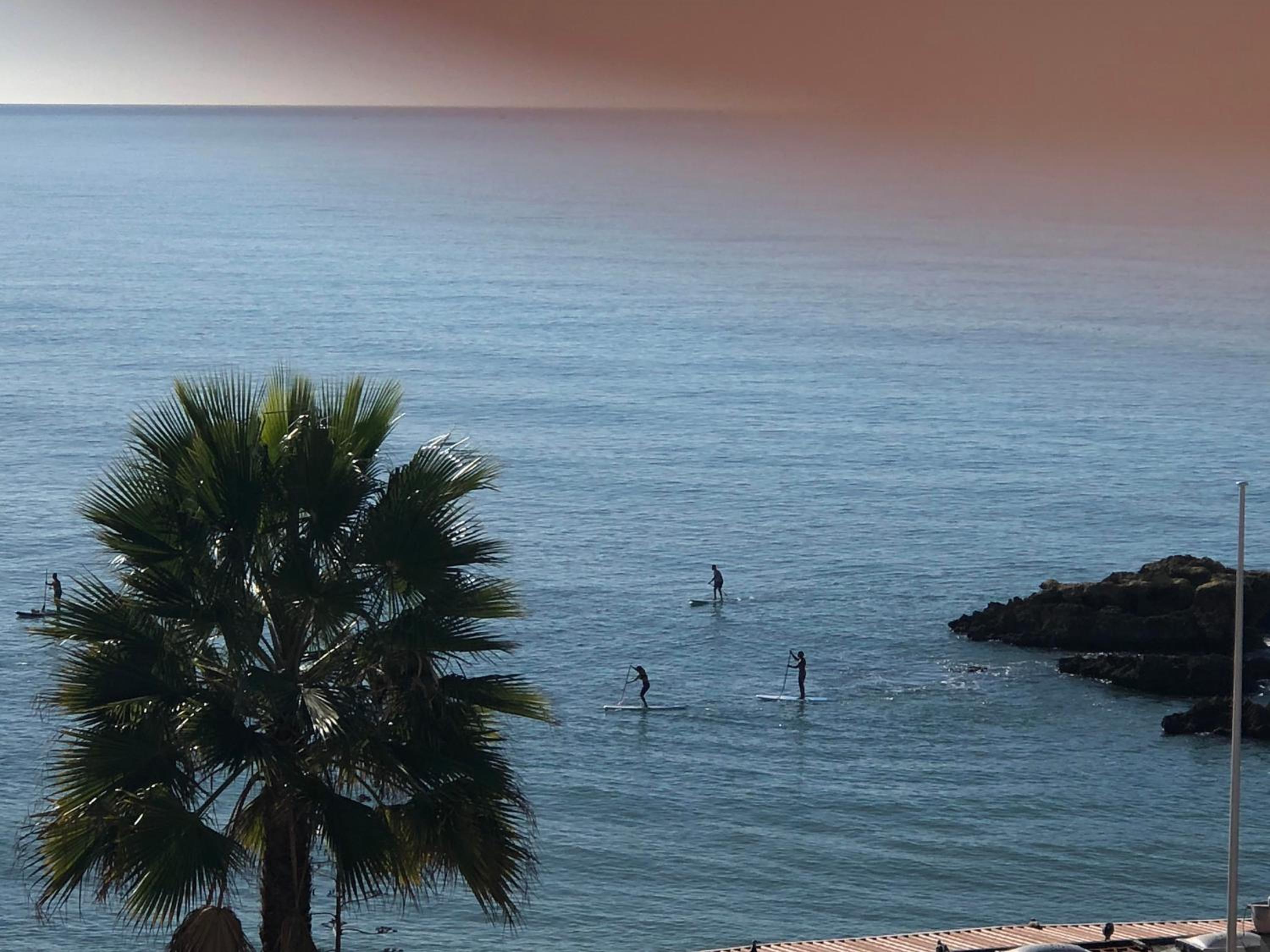 magnifique appartement sur la plage ... view 5