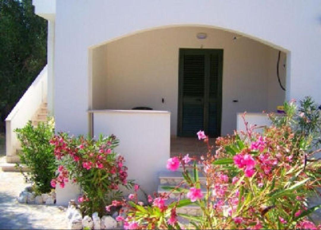 Villa Rinaldi apartment photo 4