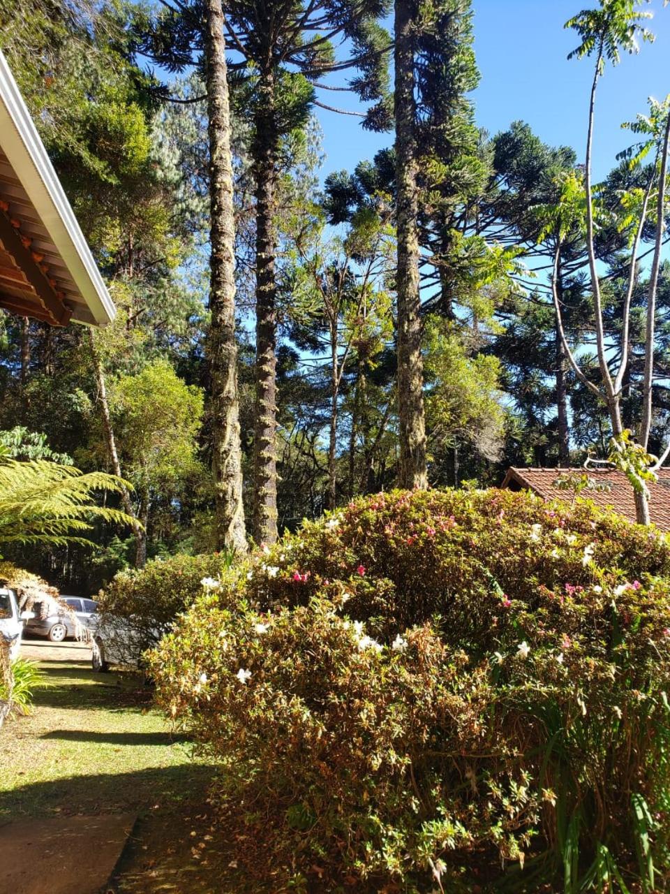 Cháles Terra Nativa