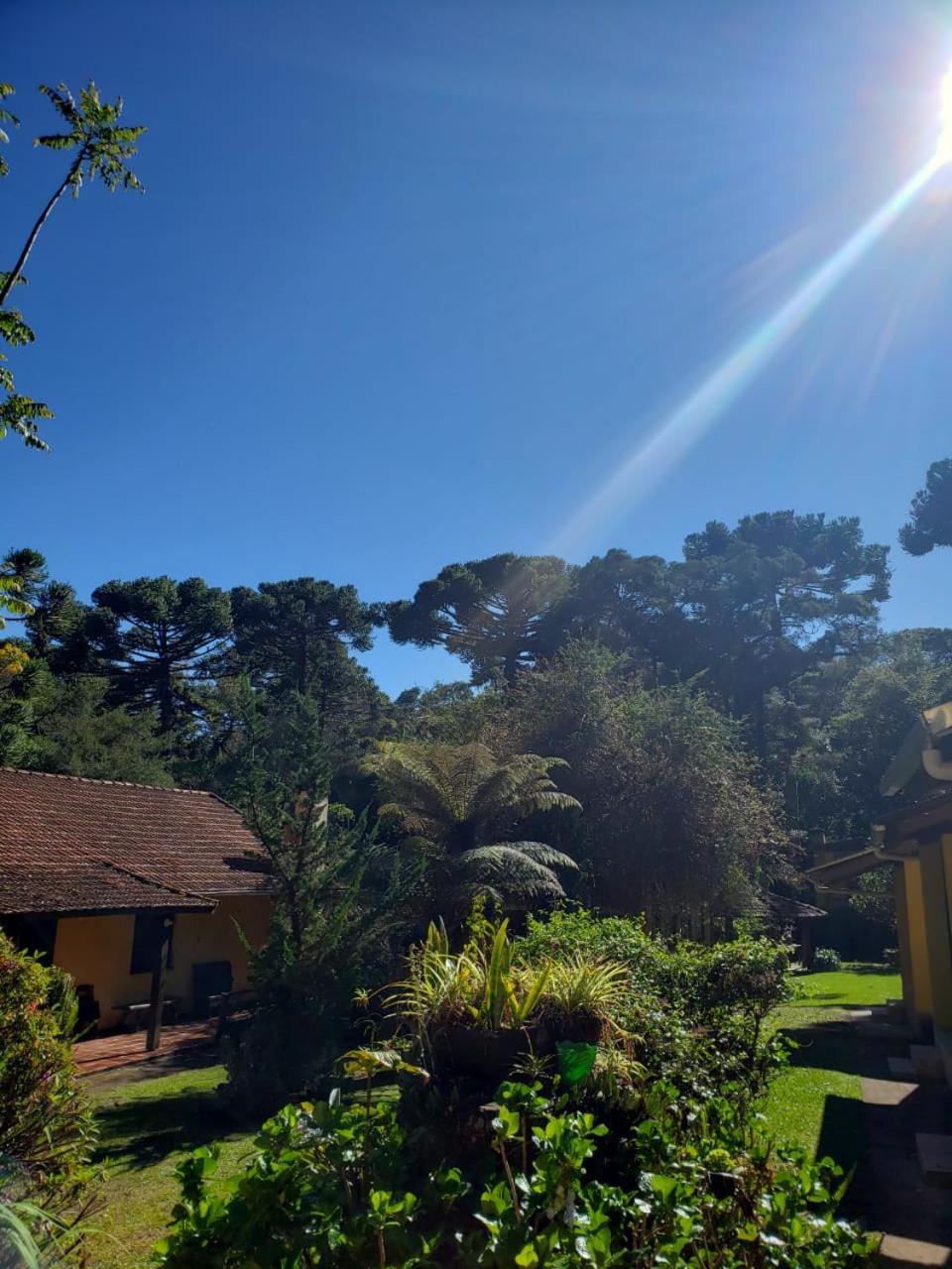 Cháles Terra Nativa