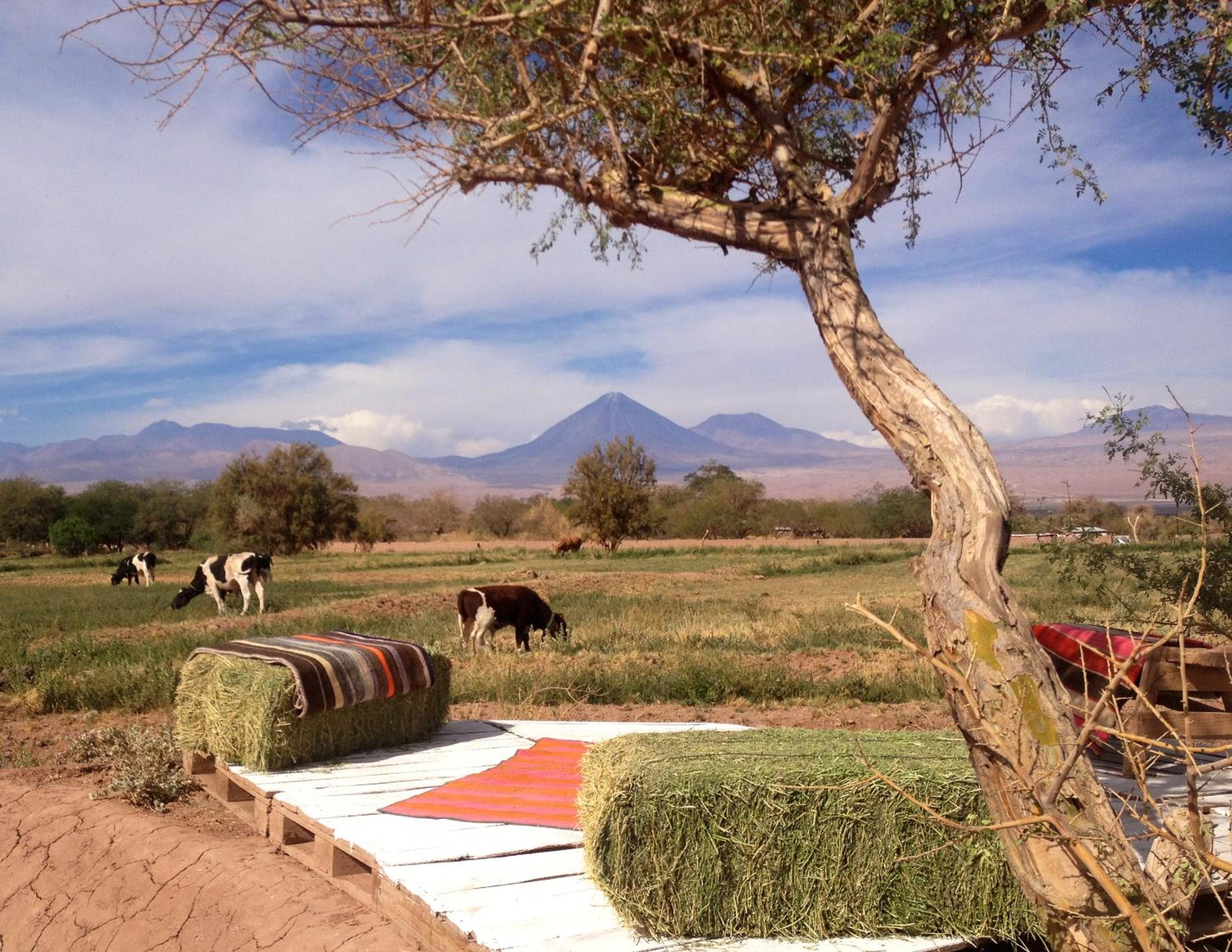 Atacama Loft & Glamp