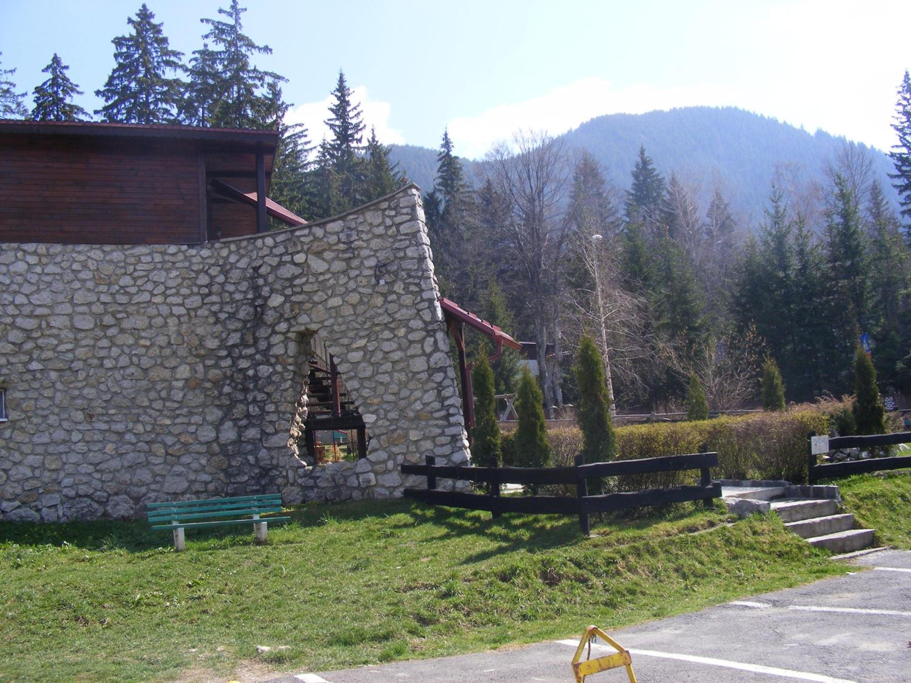 Photo 51