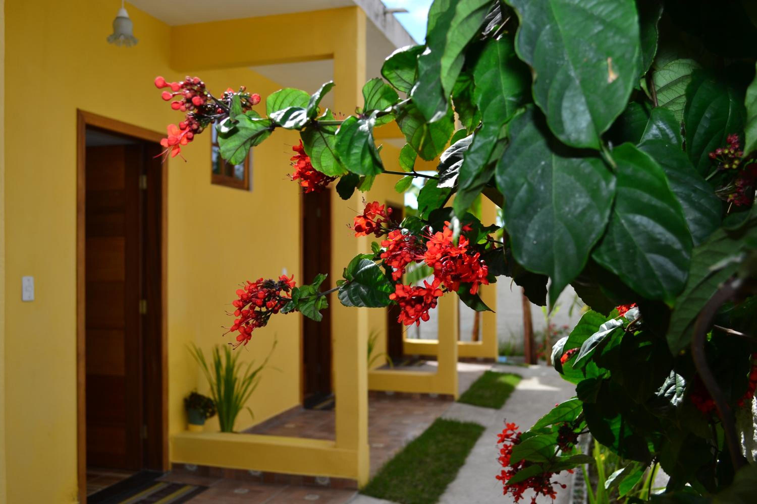 Pouso Paratiense Jabaquara