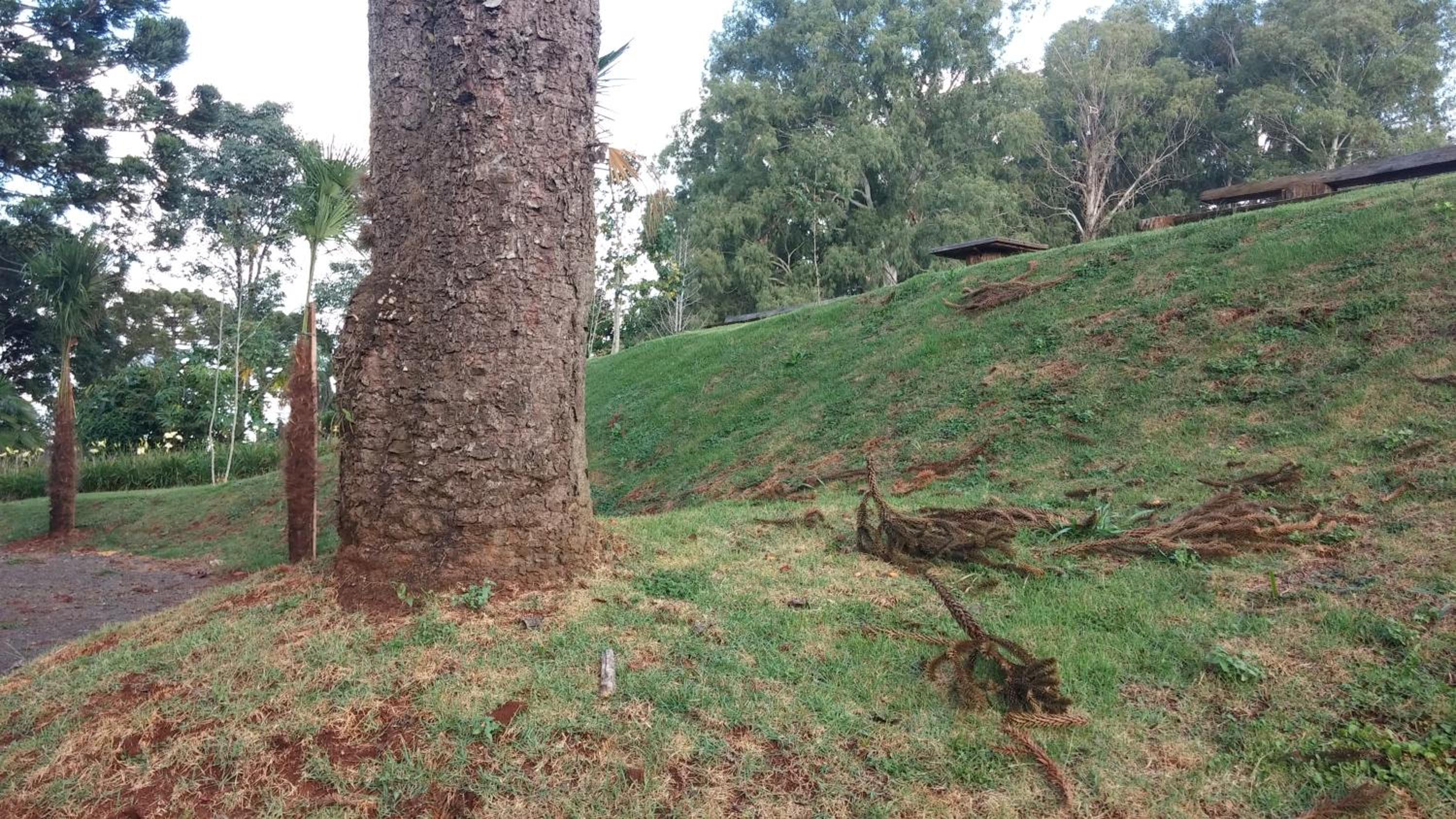 Hotel e Camping Espaço Verde Pousada
