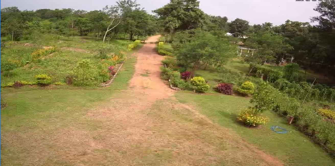 Peacock Resort view 3