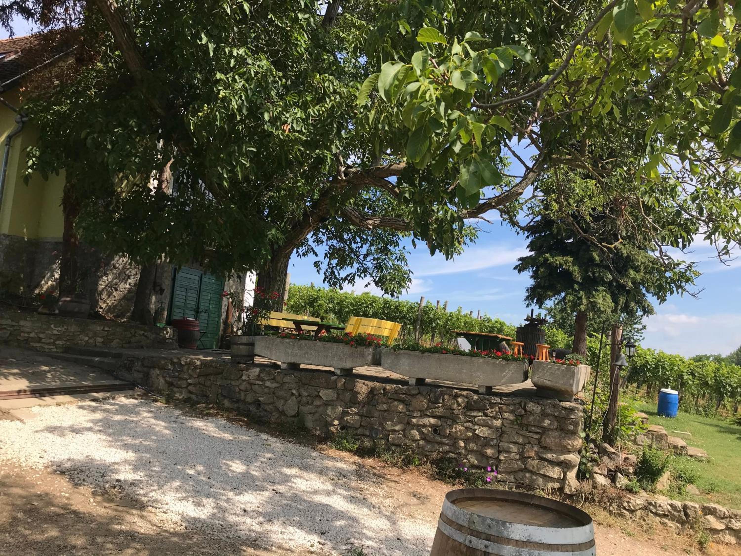 Güns Vendégház view 2