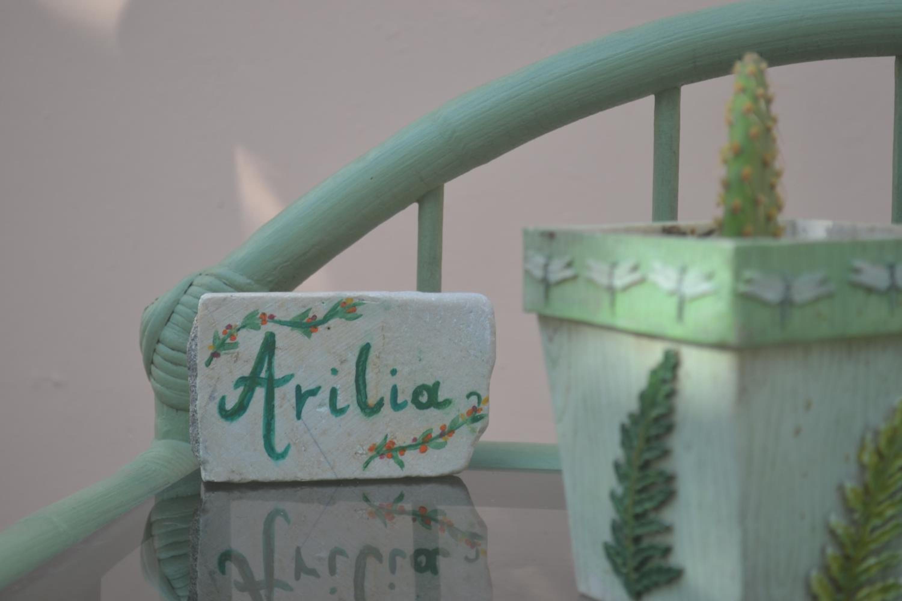 Arilia Country Cottage view 3