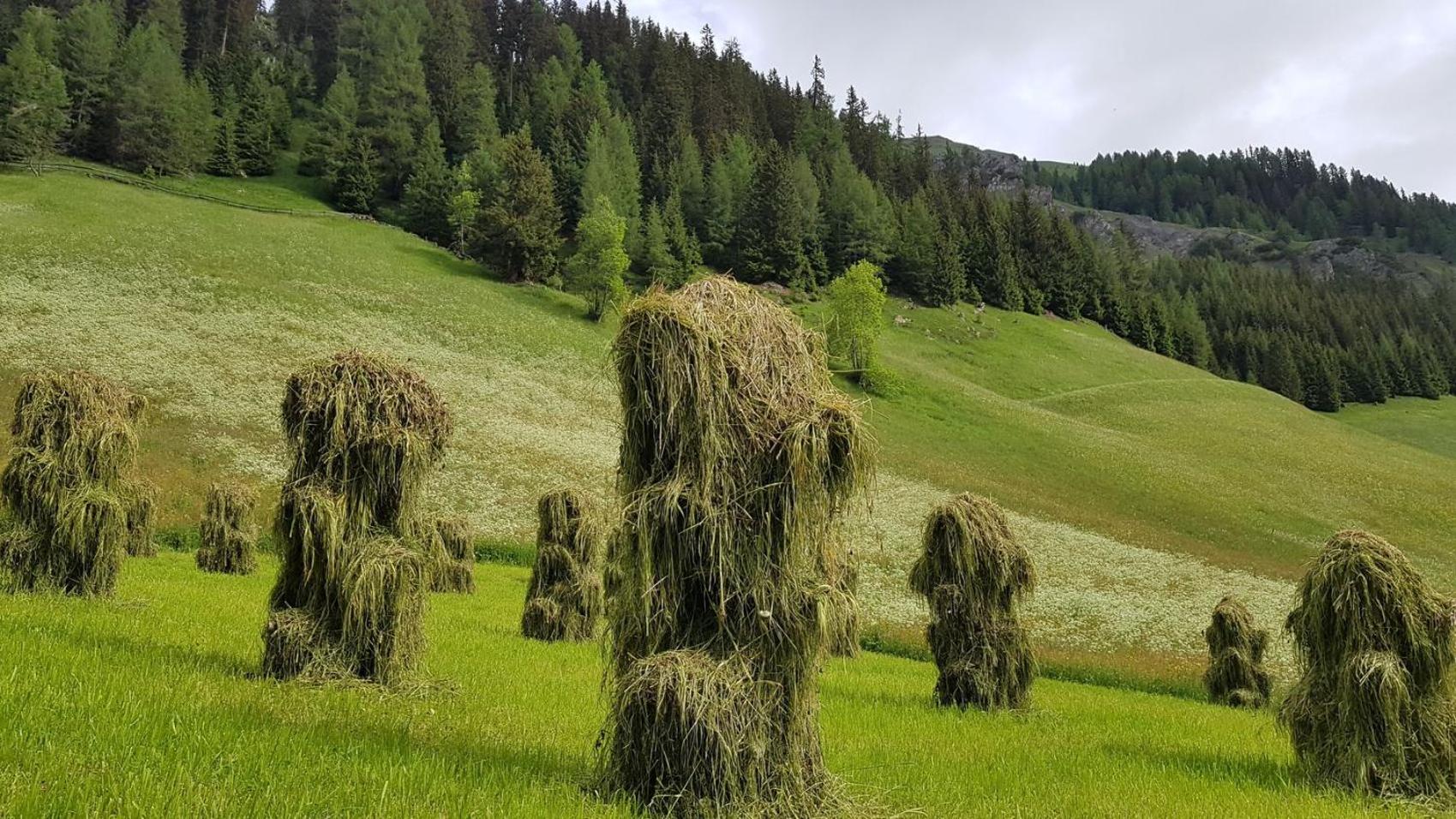 Almhütte Oberschaller bei Alfenalm - Ferienwohnungen am Berg