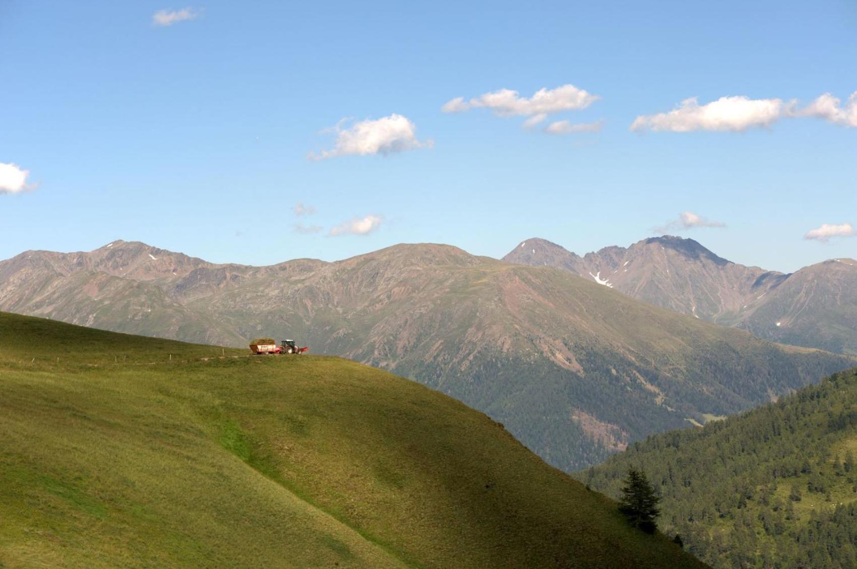 Almhütte Oberschaller bei Alfenalm - Ferienwohnungen am Berg