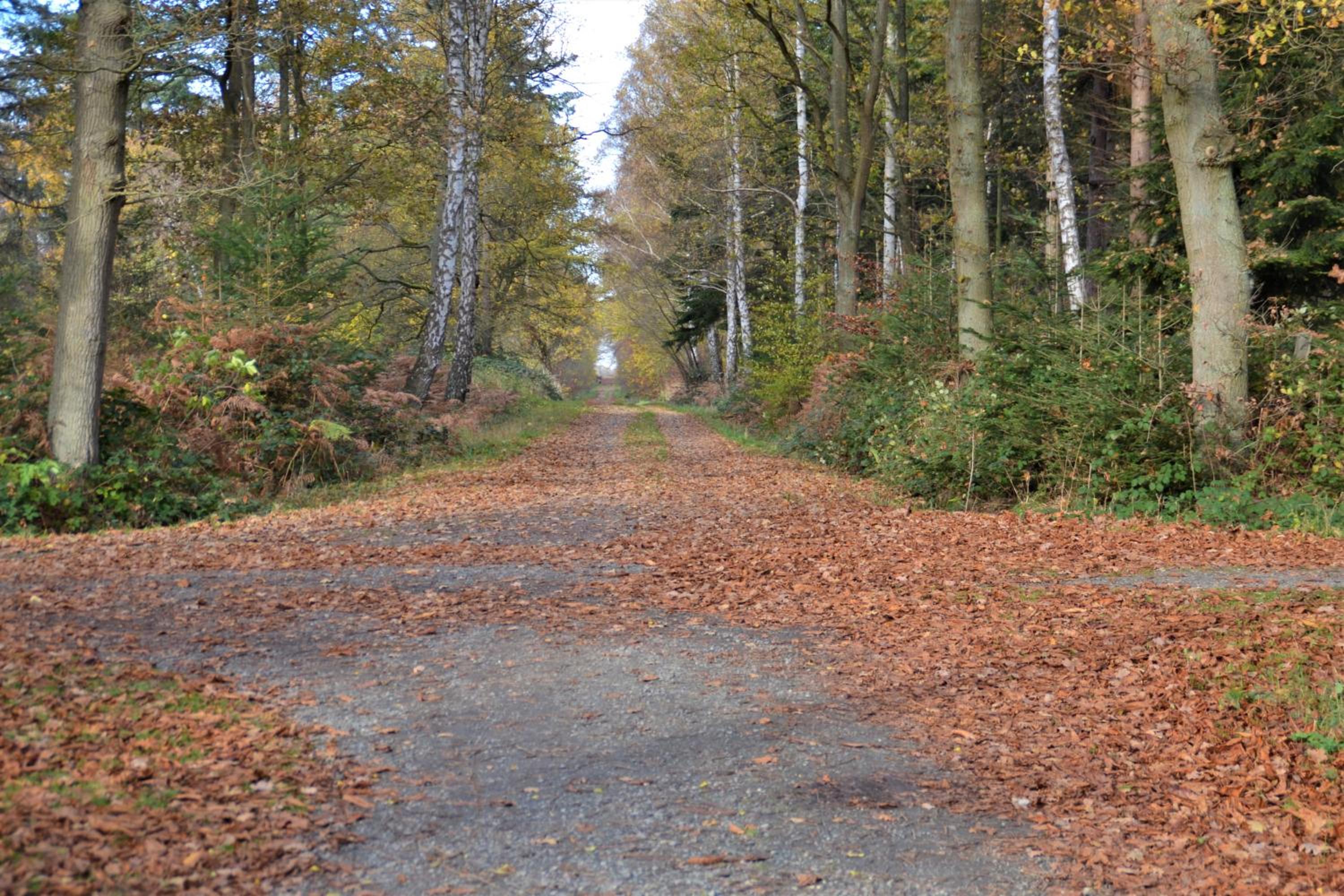 Photo 30