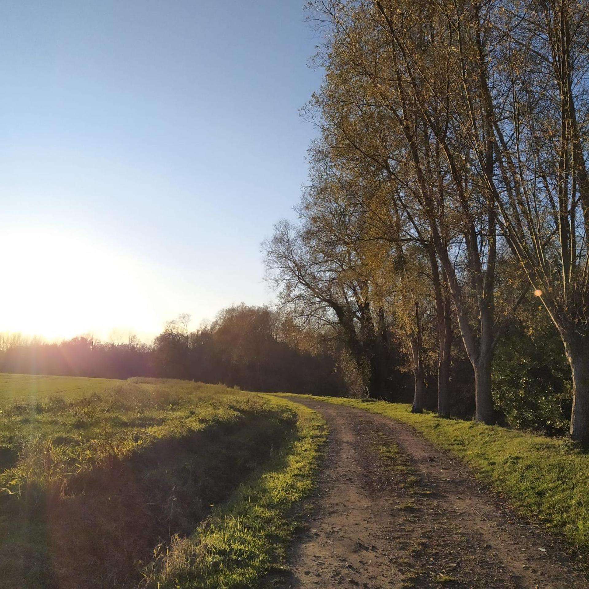 B&B Den Biesthoek