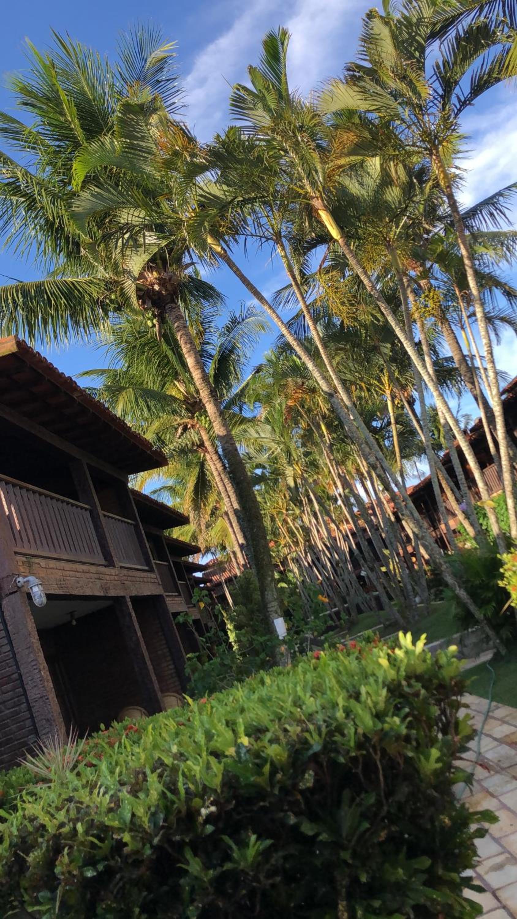 Bzs House em Geribá