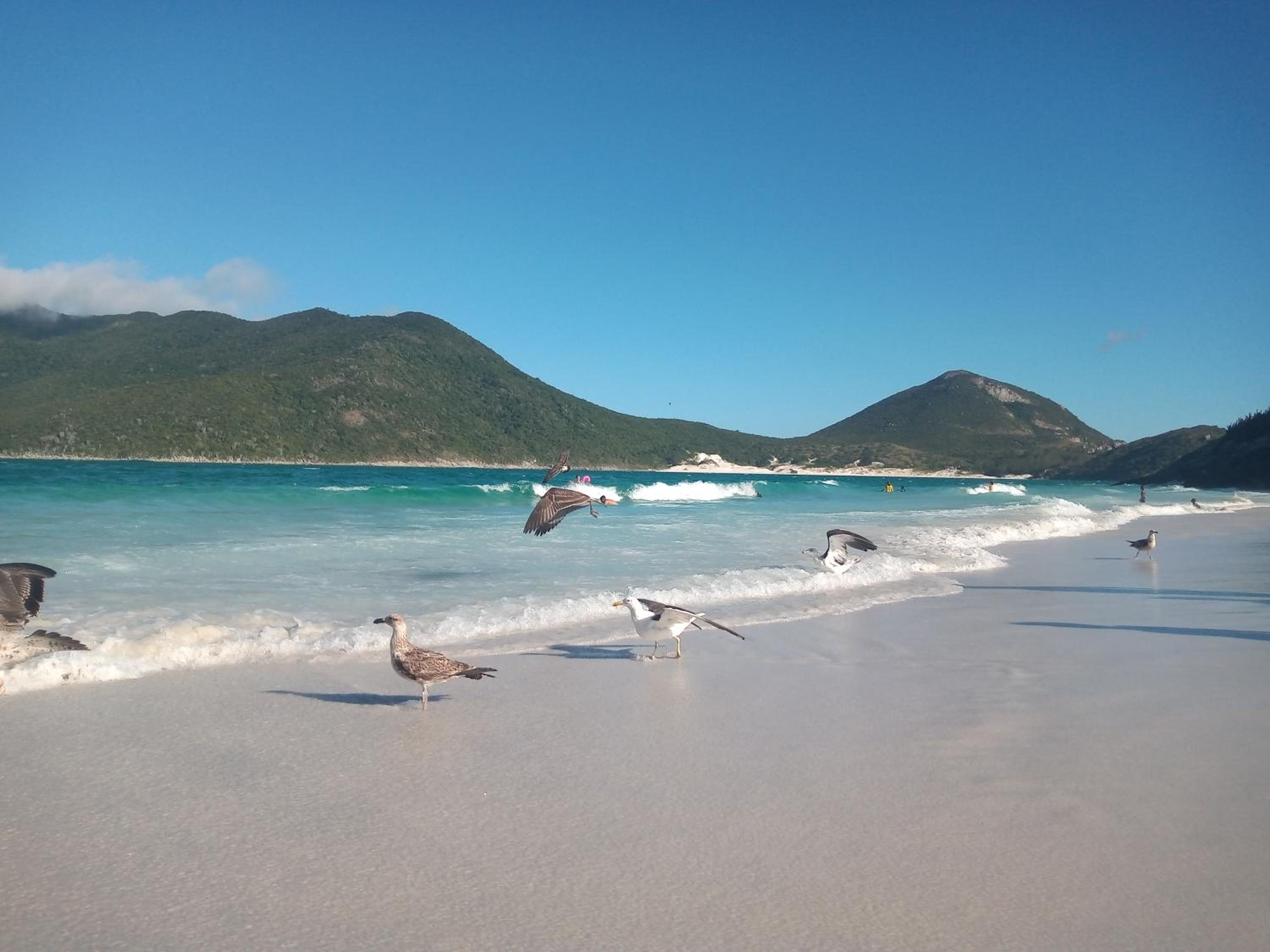 Loft em frente a Praia Grande - Arraial do Cabo - Sophia 1