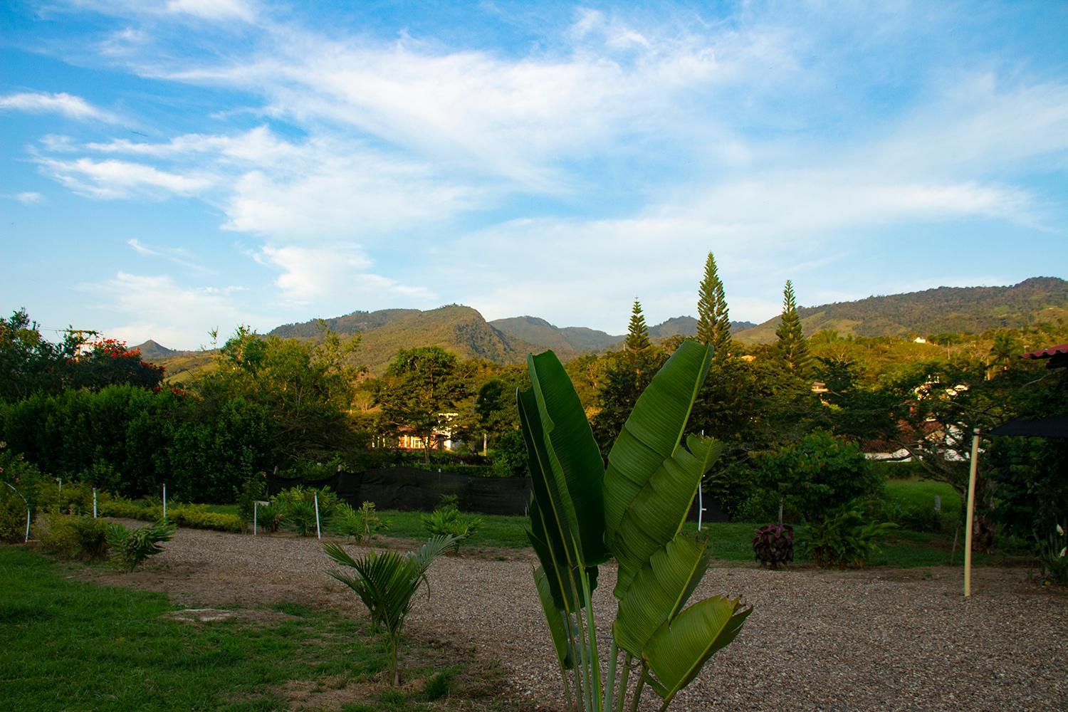 San Juan de los Guayabos