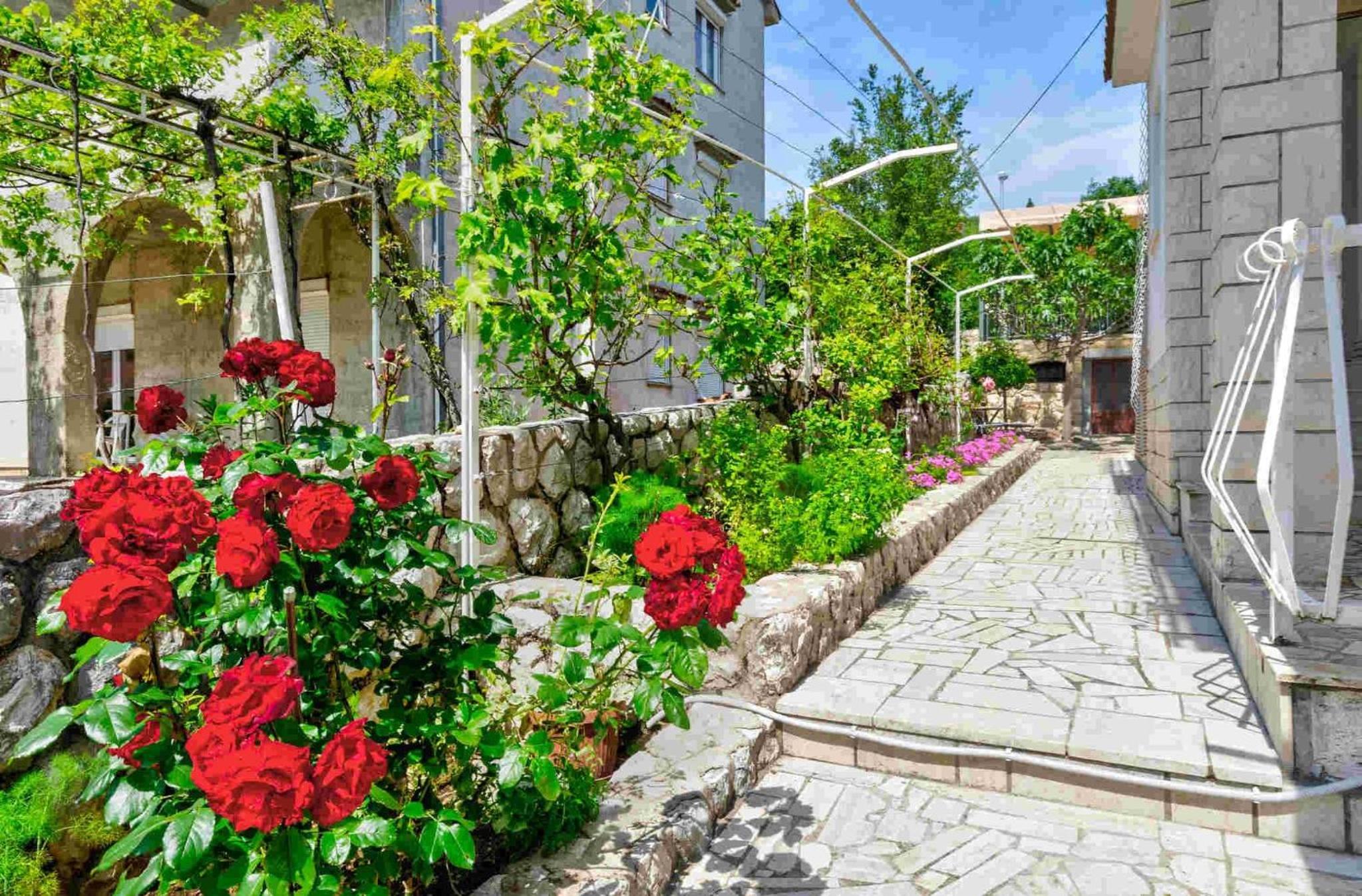 Apartments in Dramalj 39504 view 4