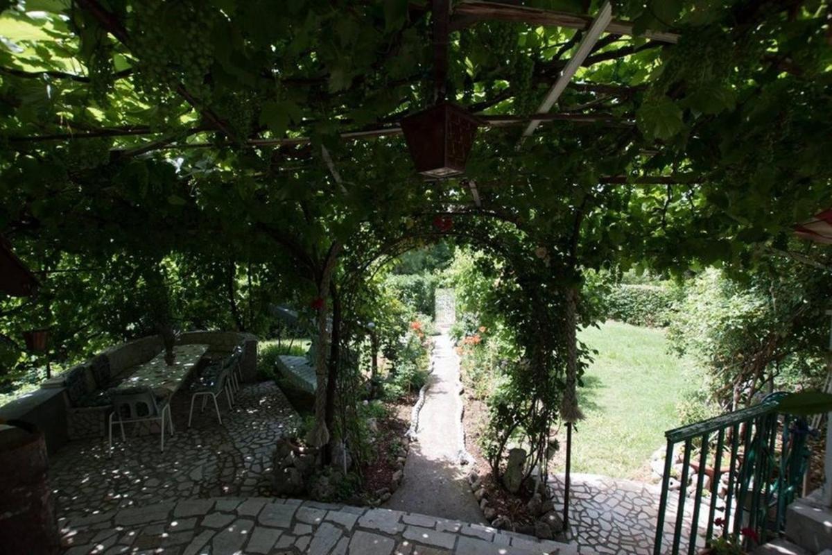 Photo 11