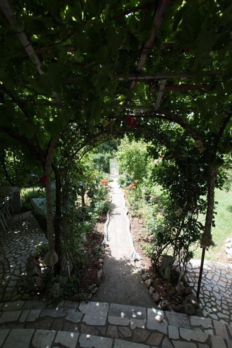 Photo 17