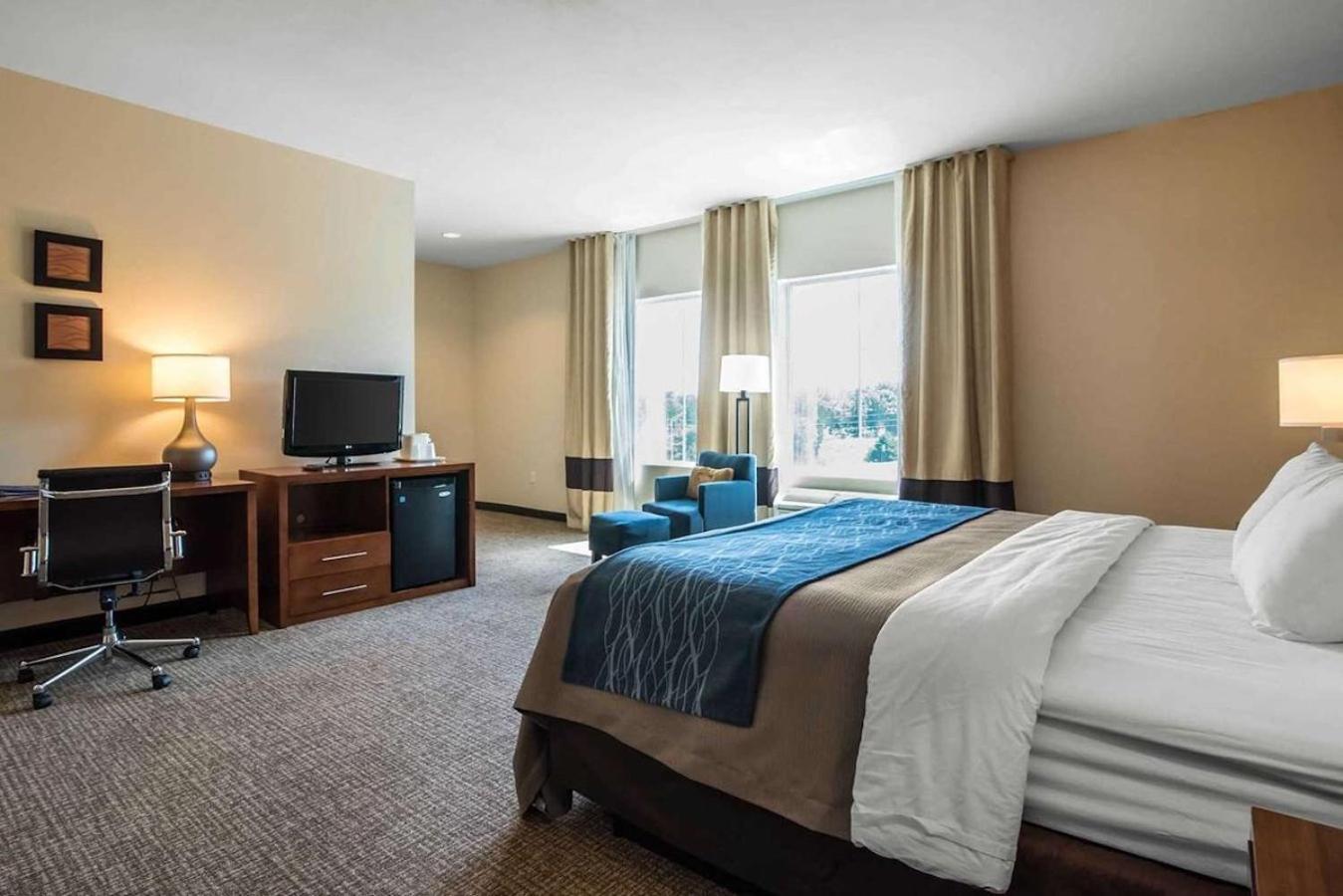 Comfort Inn Apalachin - Binghamton W Route 17
