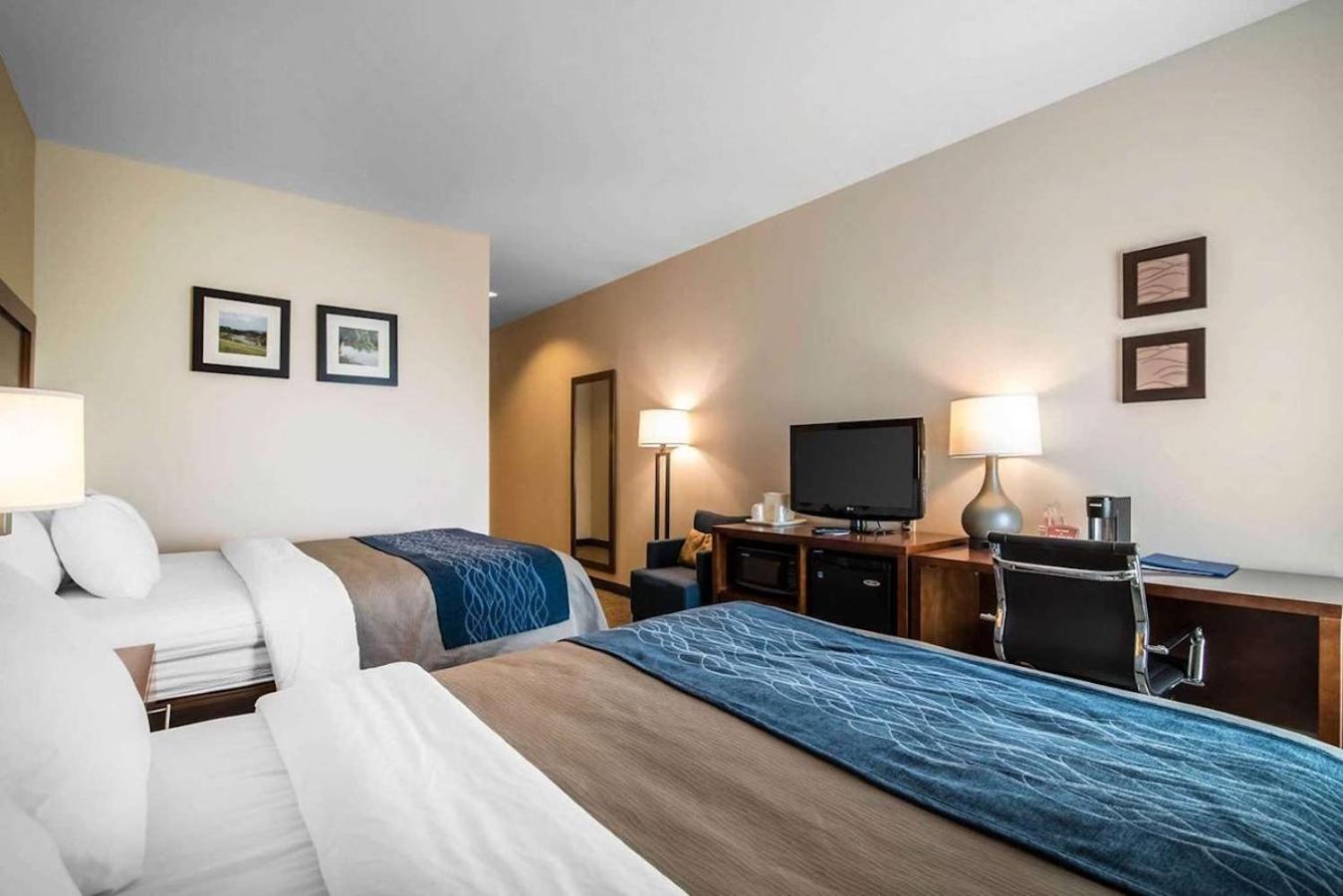 Comfort Inn Apalachin - Binghamton W Route 17