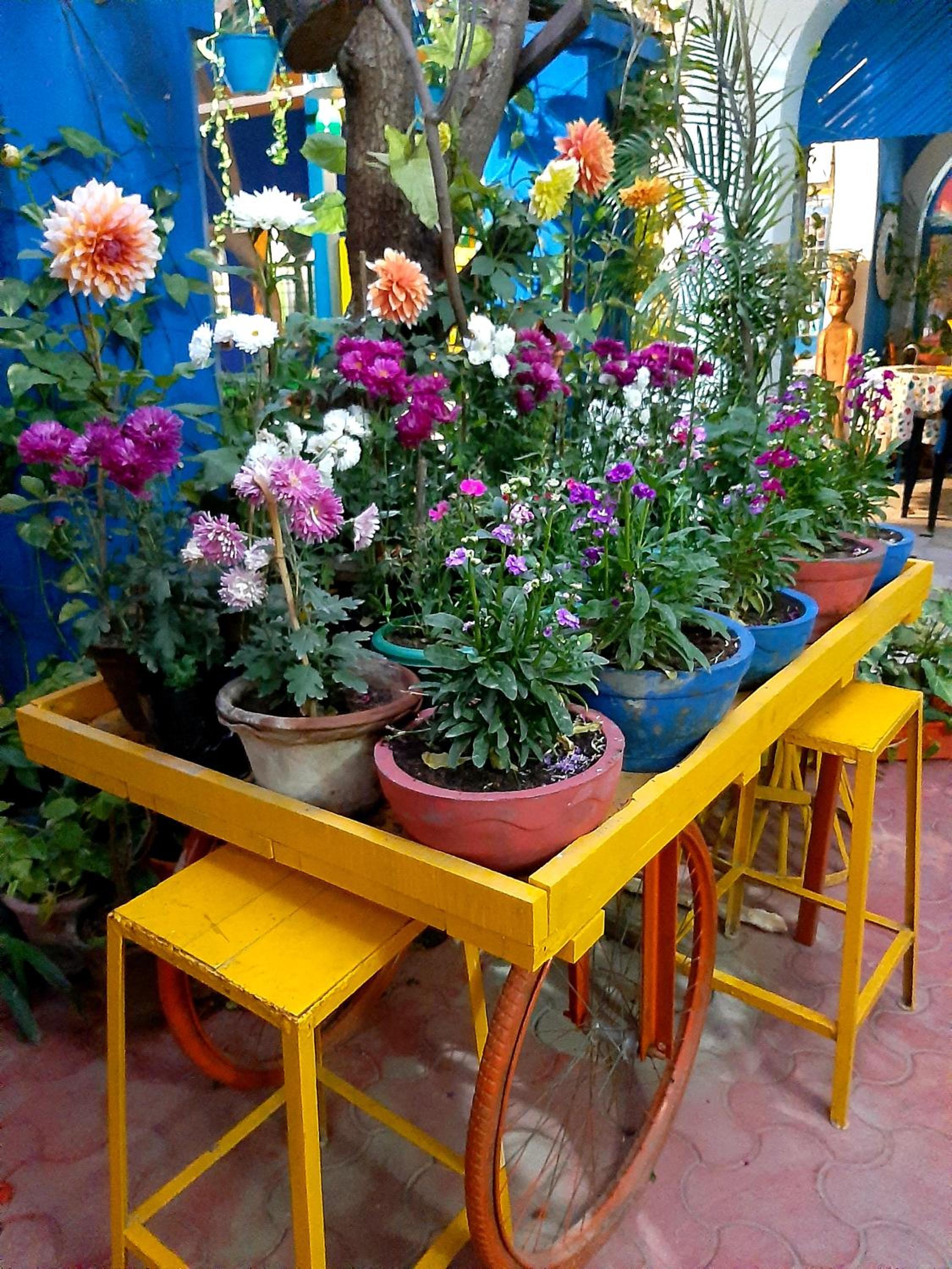 The Coral House Homestay by the Taj