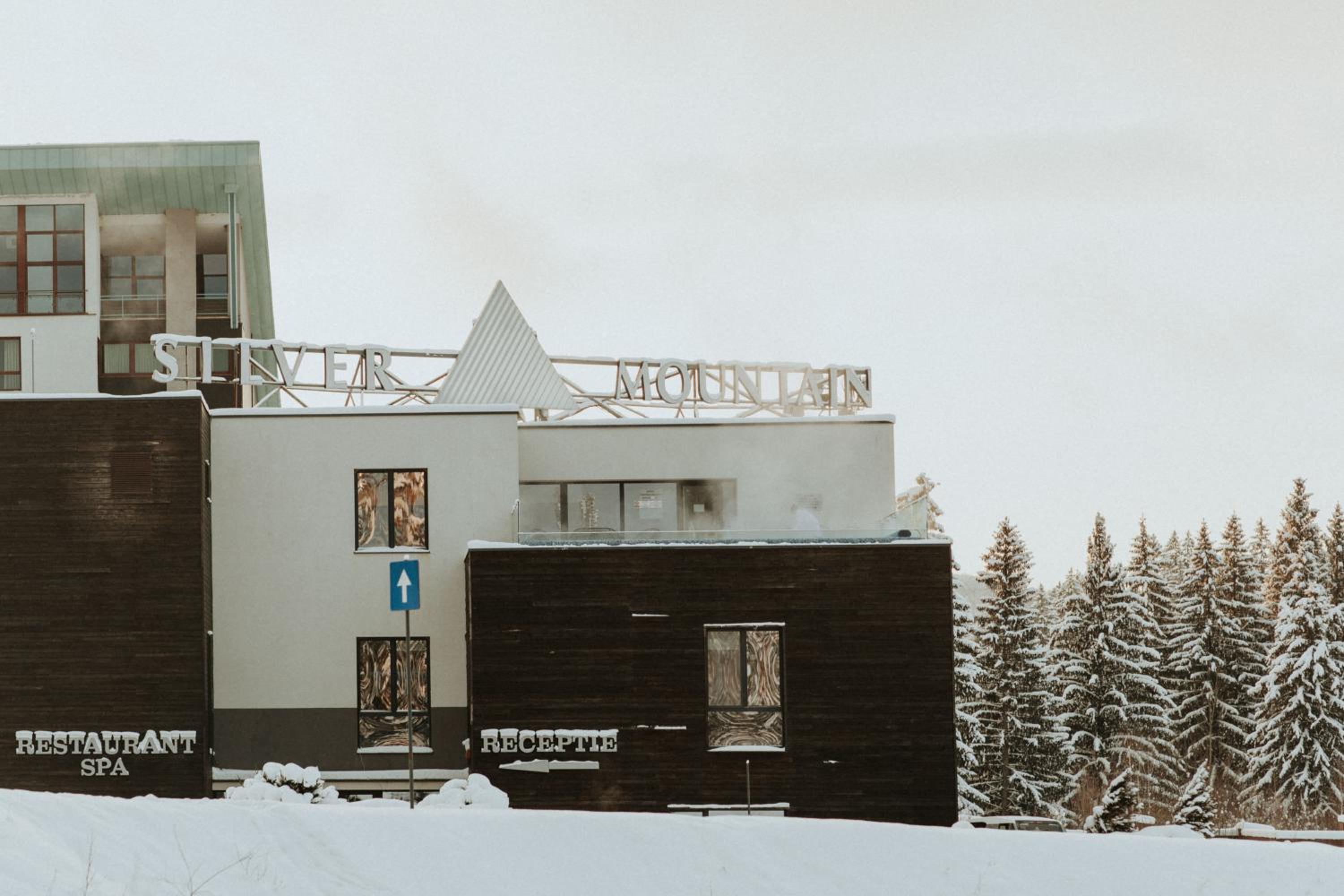 Silver Pine Apartment