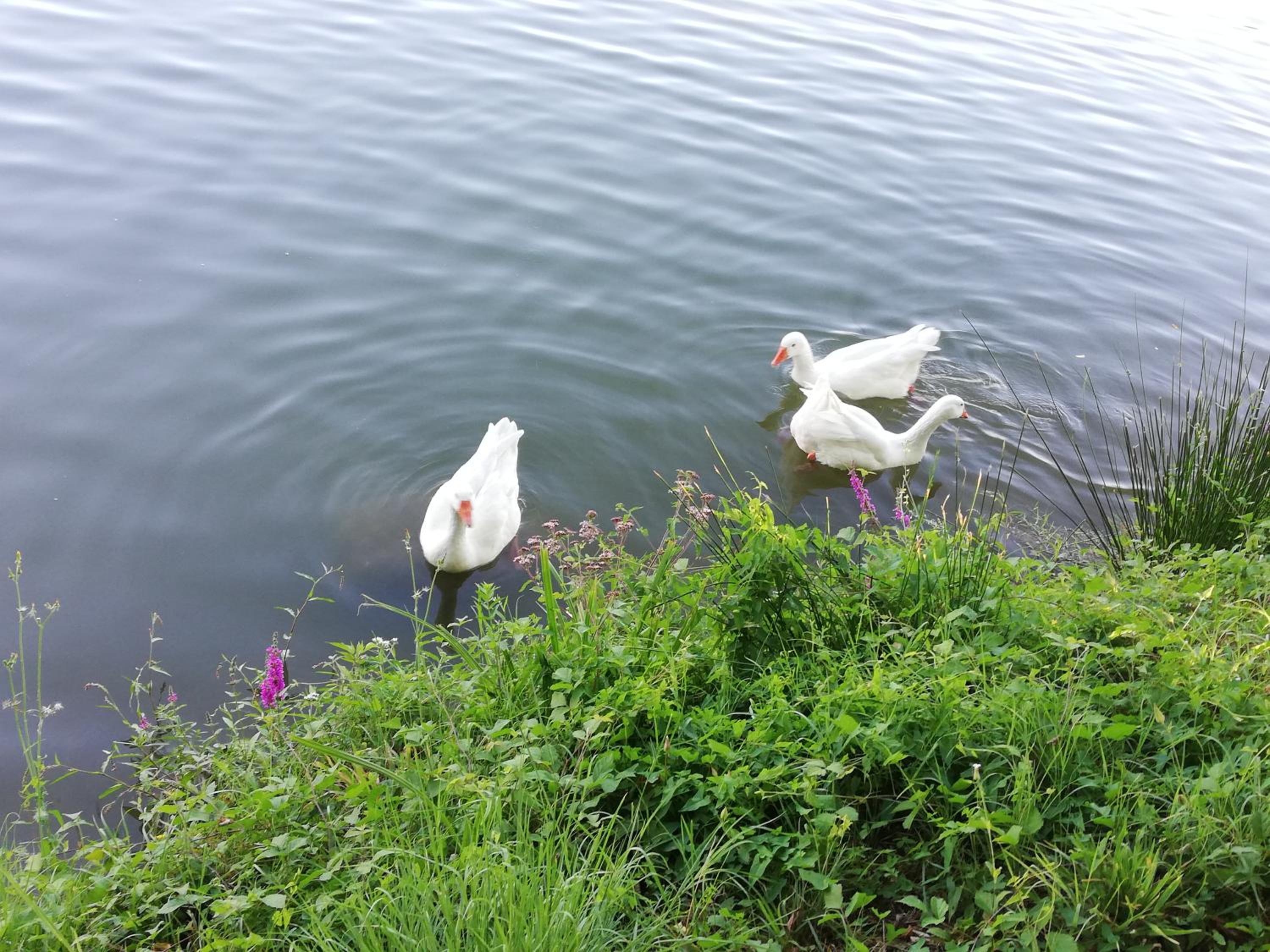 Photo 33