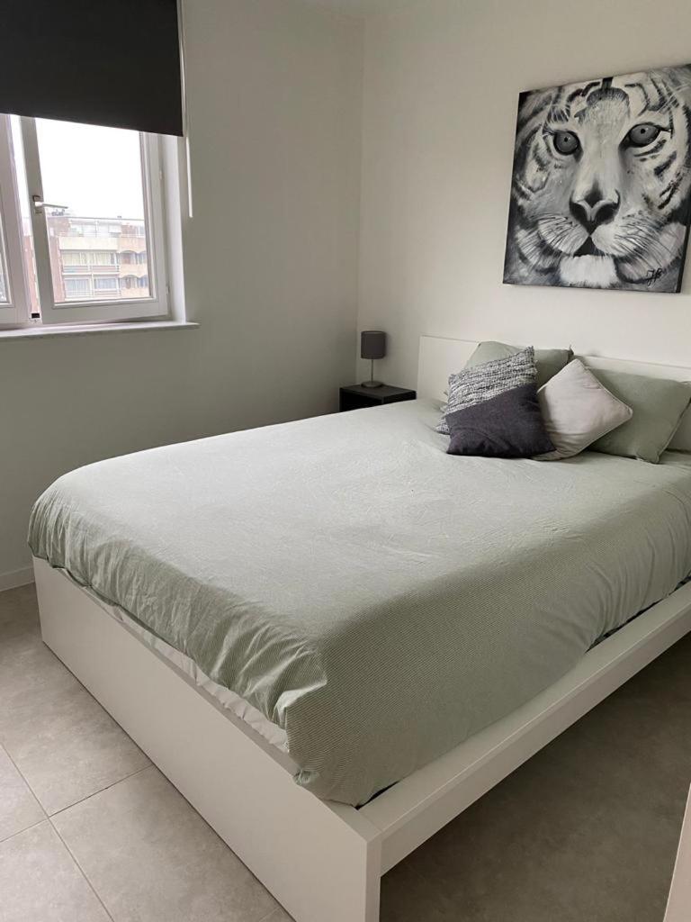 Gezellig 1 slaapkamer appartement nabij het stadscentrum view 5