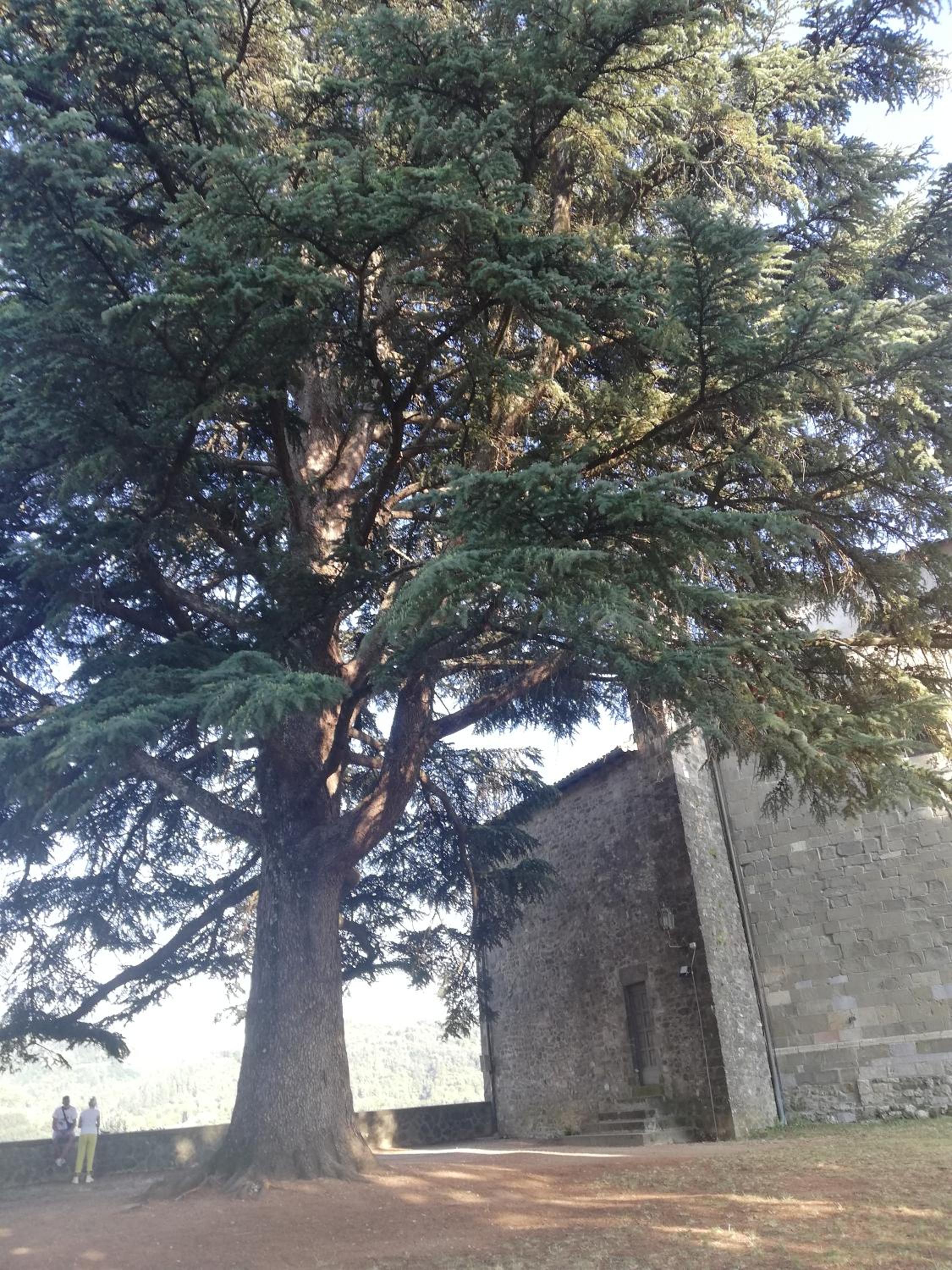 Photo 40