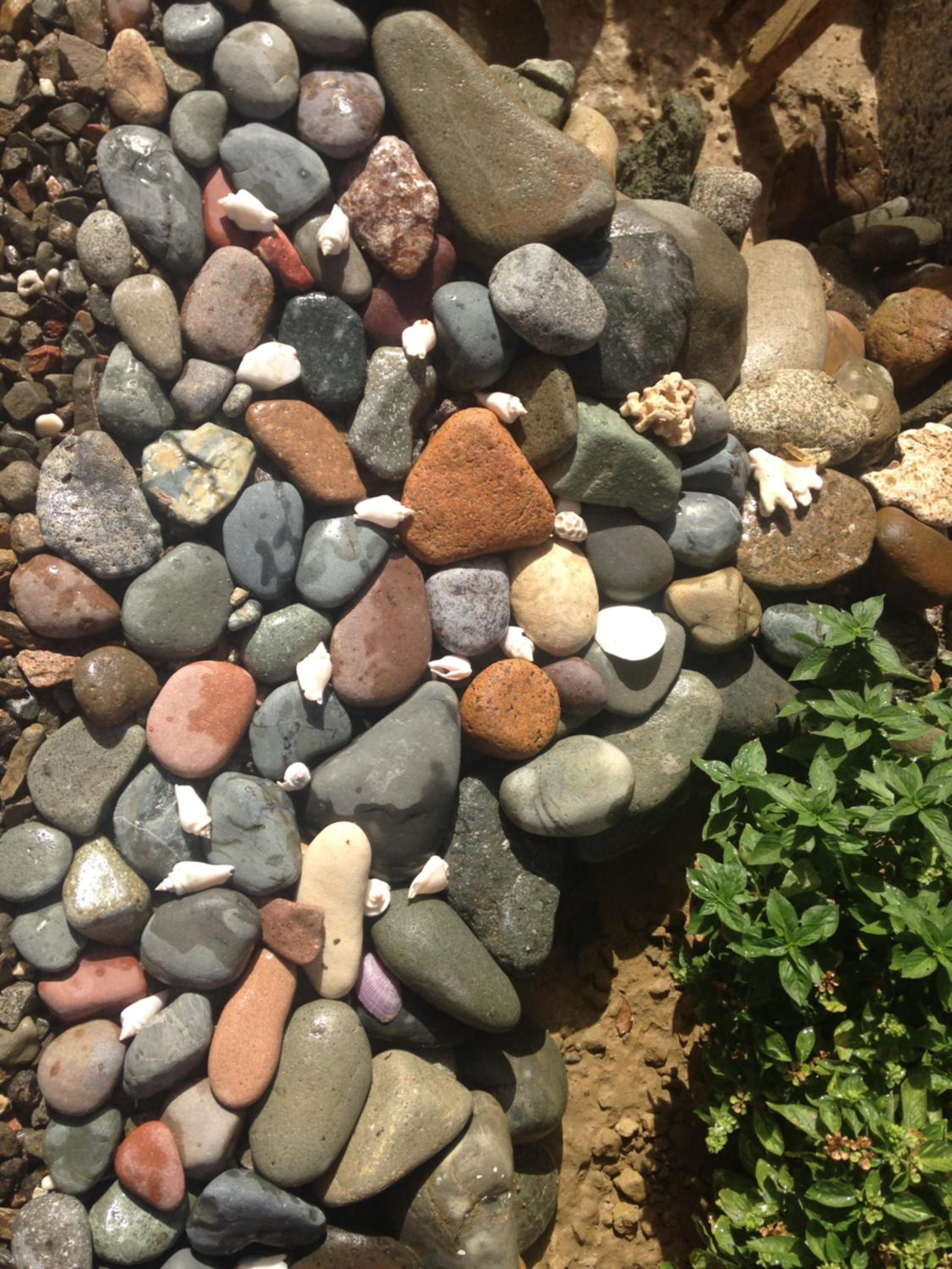 Photo 38