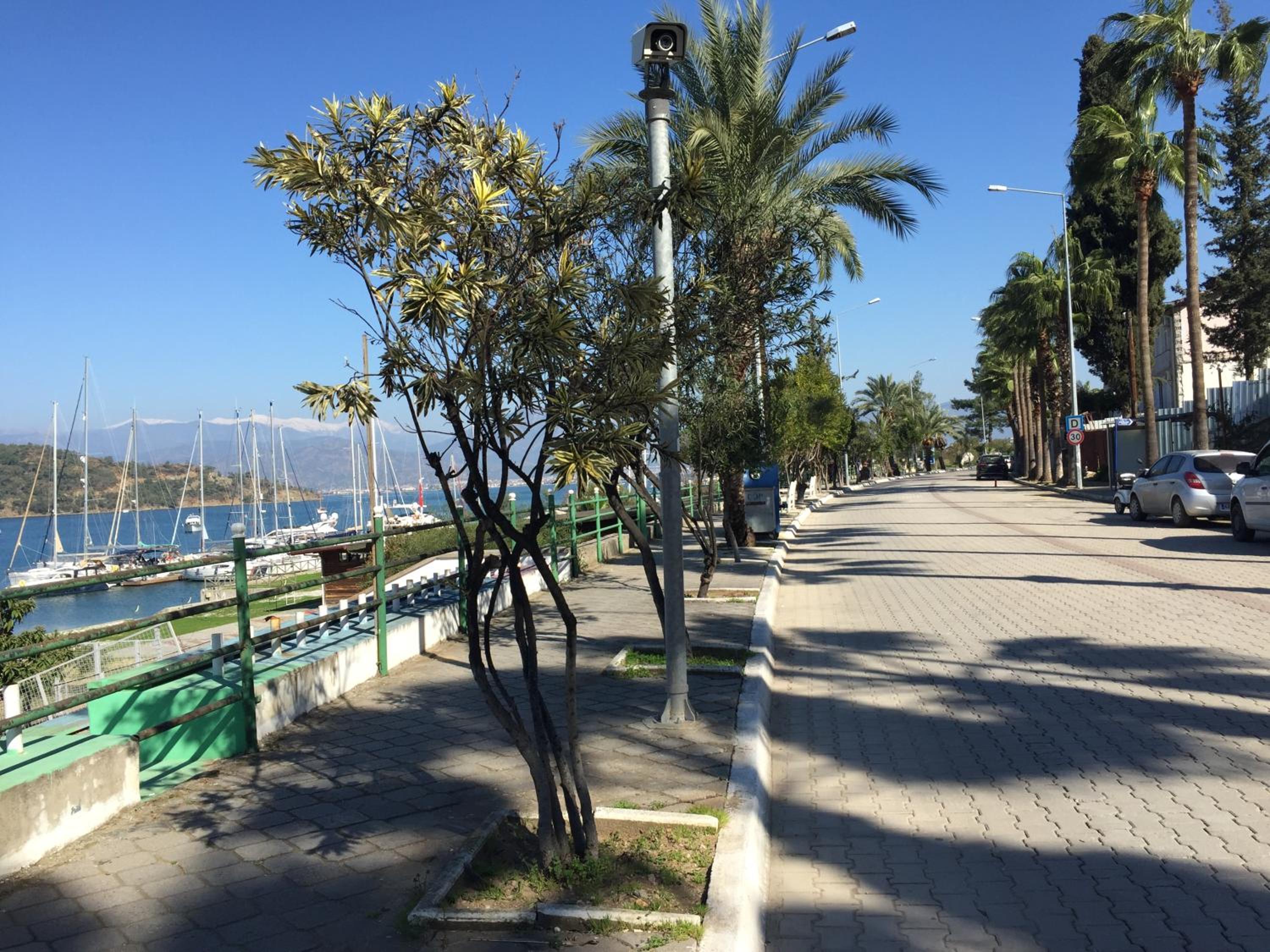 Hotel Villa Daffodil - Image 86