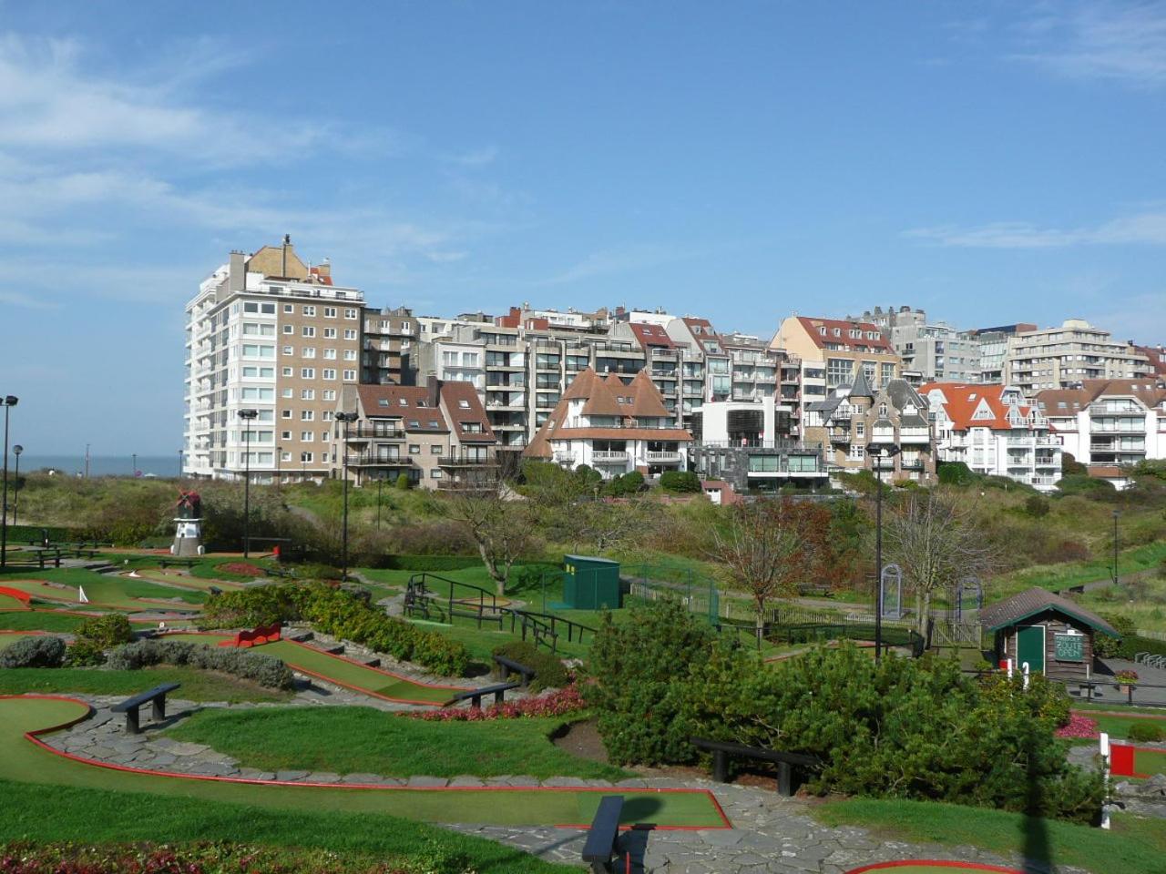 Photo 21