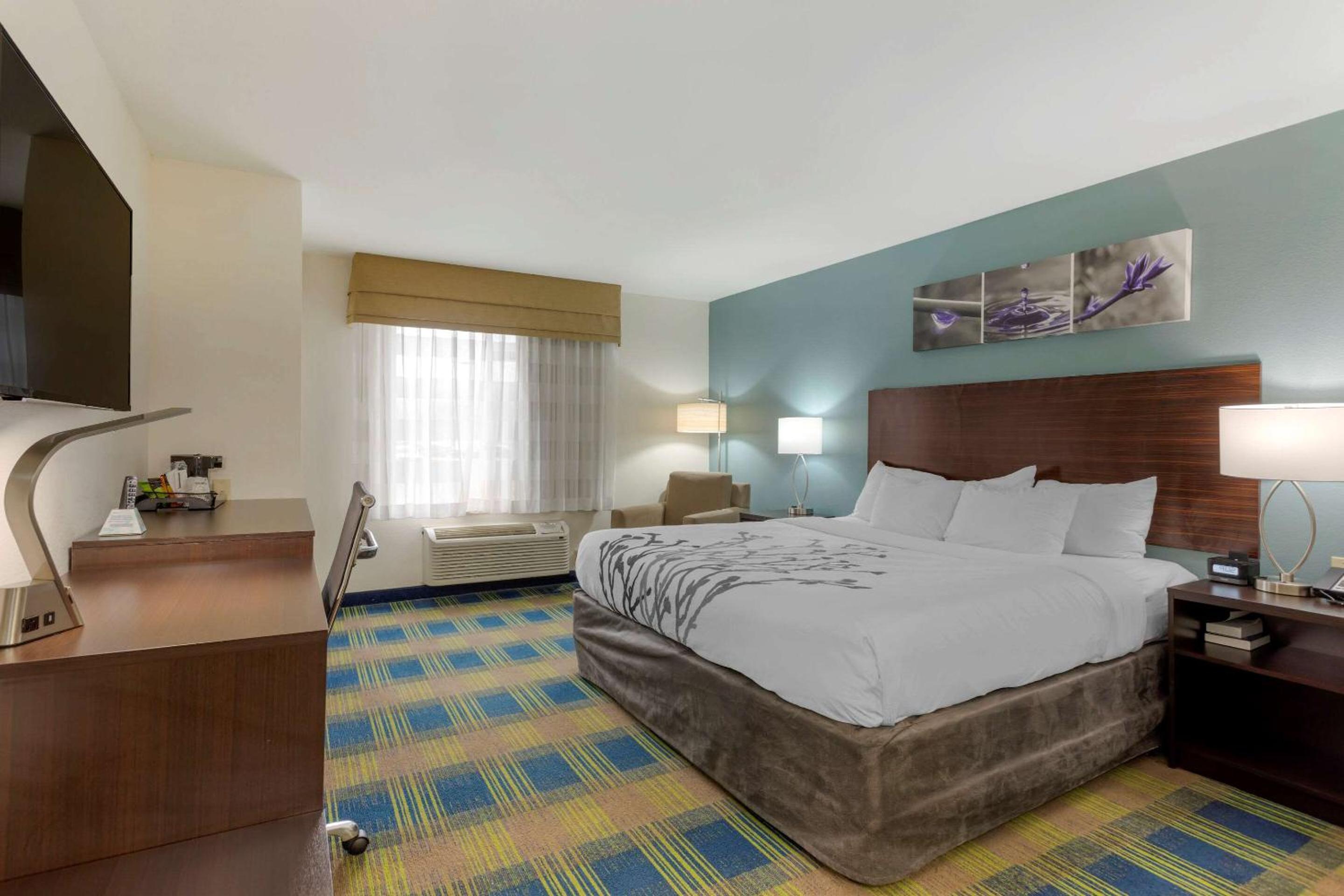 Smyrna Vacations - Sleep Inn Suites Smyrna - Nashville - Property Image 12