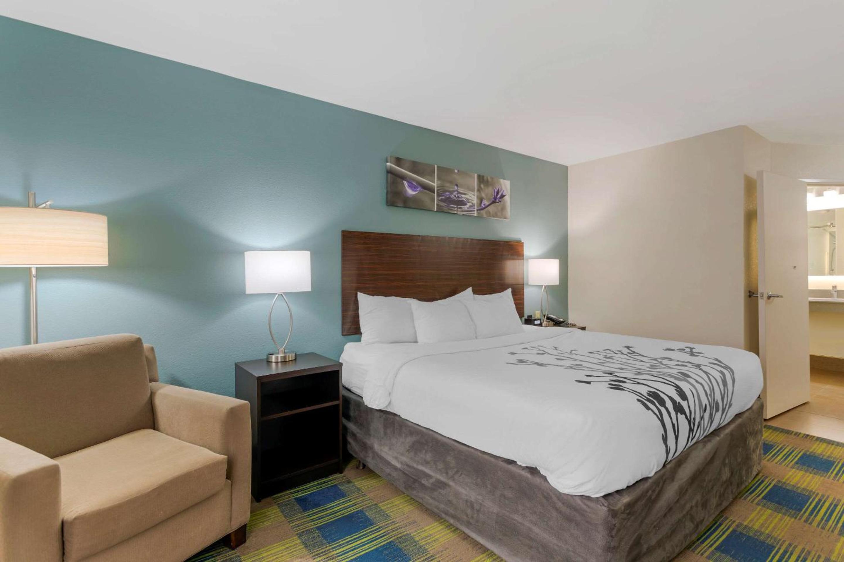 Smyrna Vacations - Sleep Inn Suites Smyrna - Nashville - Property Image 14
