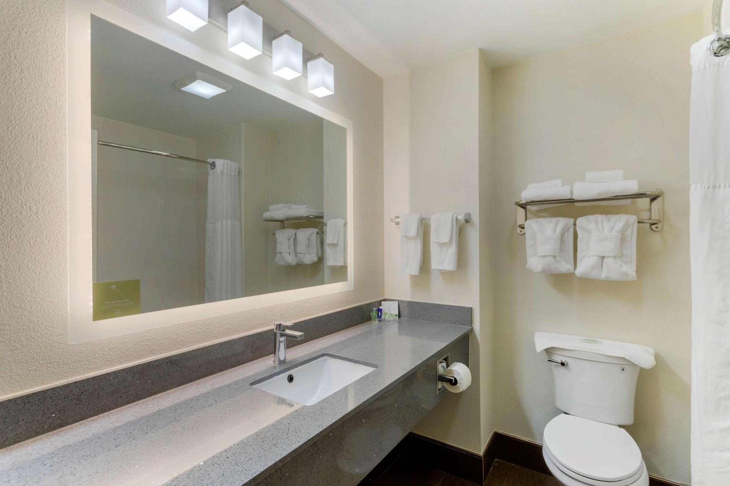 Smyrna Vacations - Sleep Inn Suites Smyrna - Nashville - Property Image 19