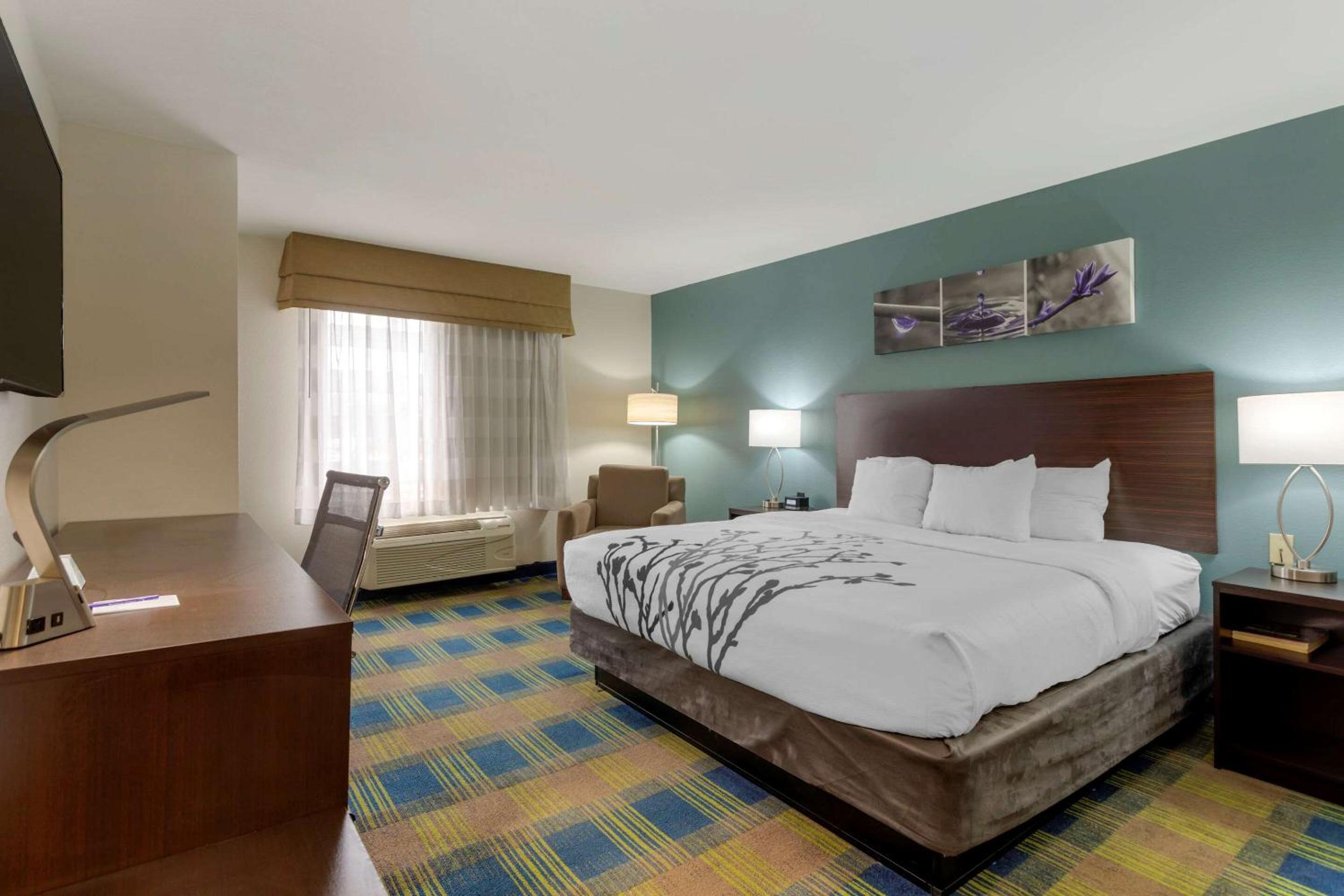Smyrna Vacations - Sleep Inn Suites Smyrna - Nashville - Property Image 20