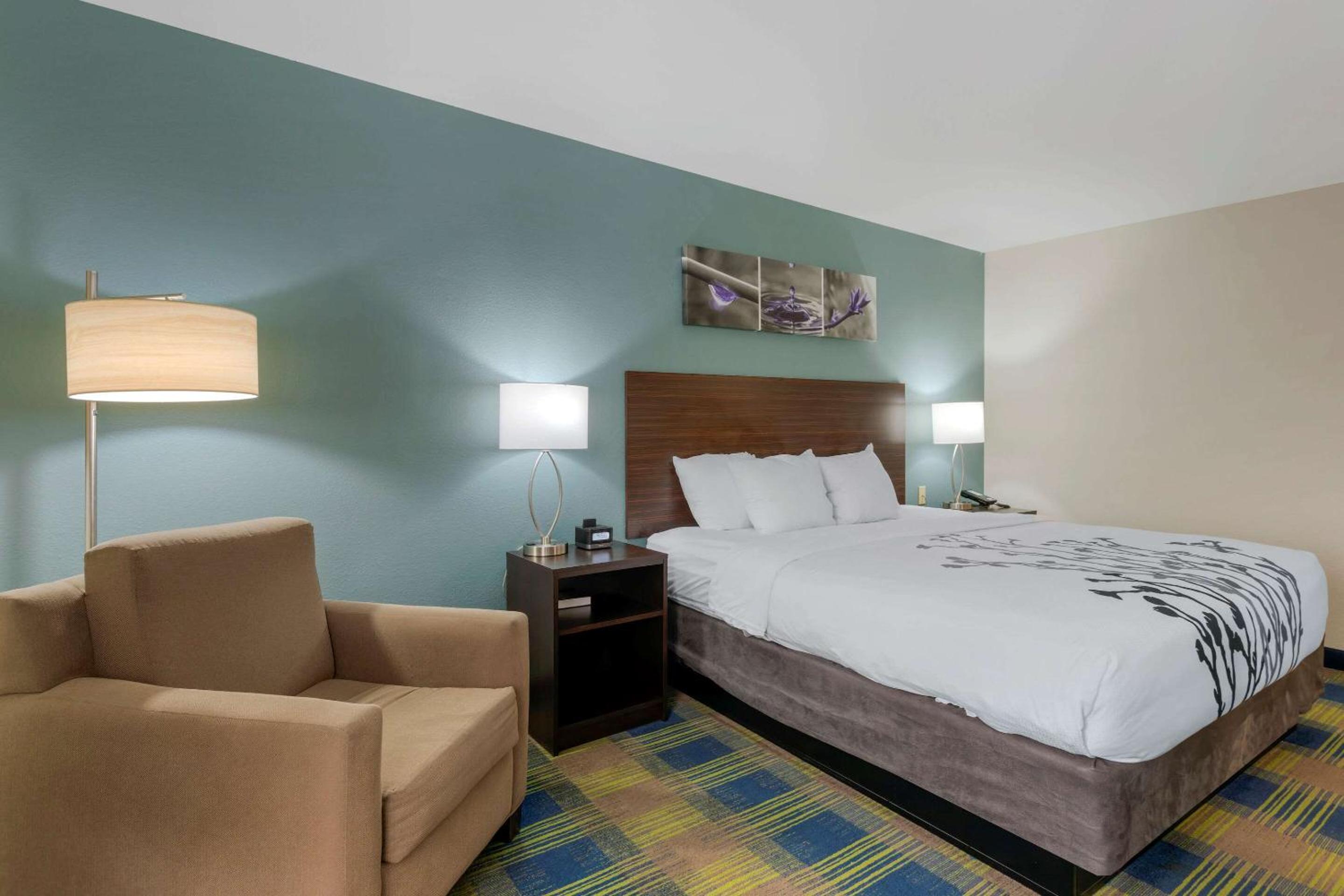 Smyrna Vacations - Sleep Inn Suites Smyrna - Nashville - Property Image 22