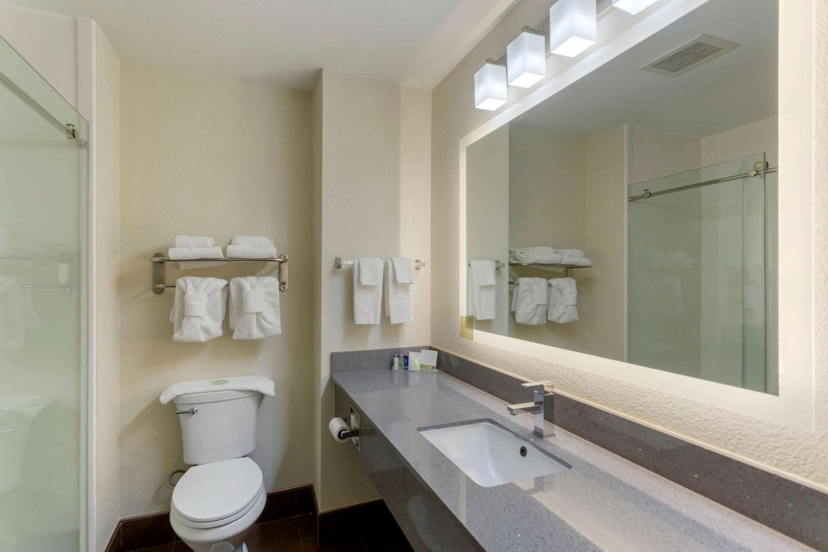 Smyrna Vacations - Sleep Inn Suites Smyrna - Nashville - Property Image 23