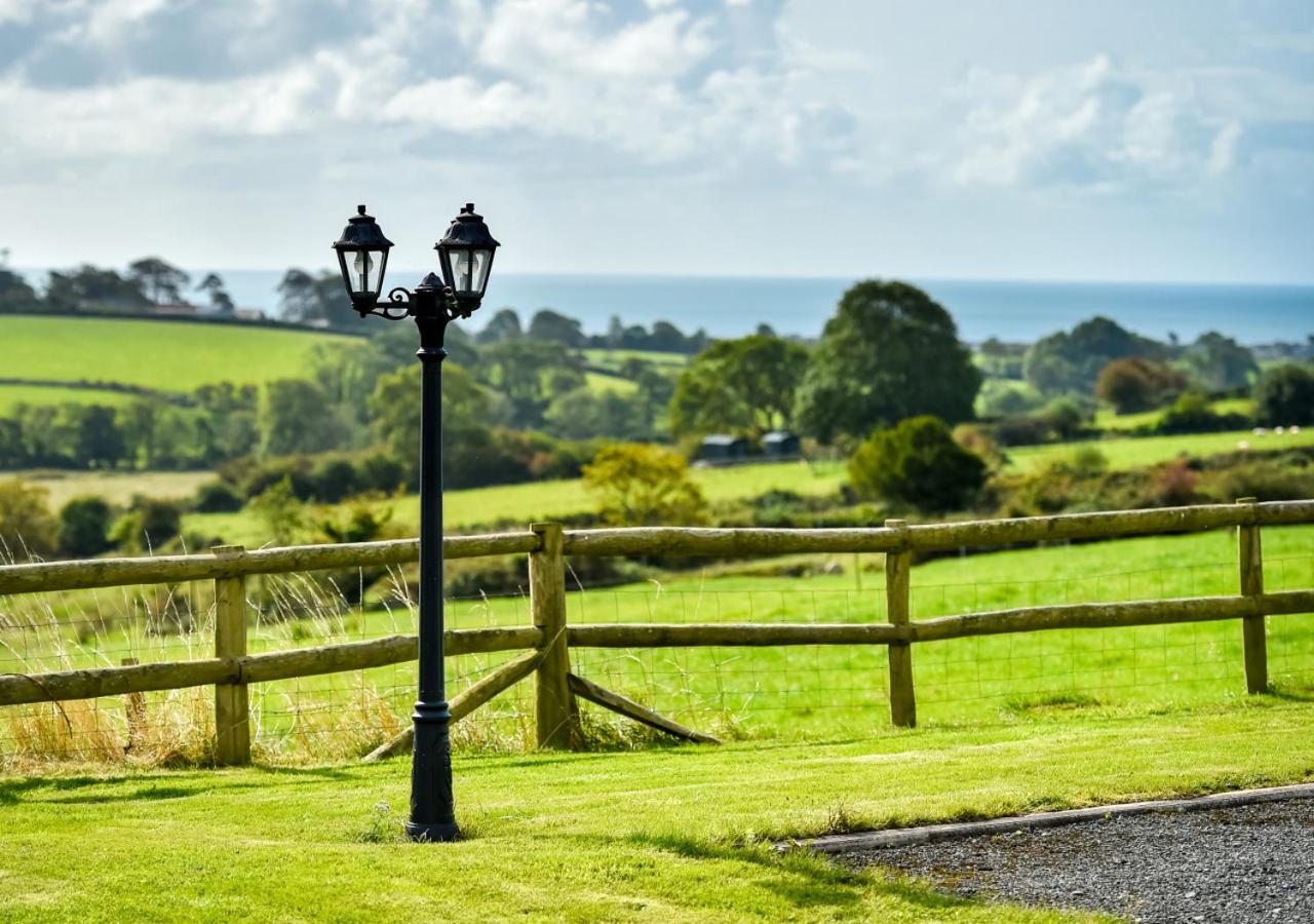 Llys Mawr view 4