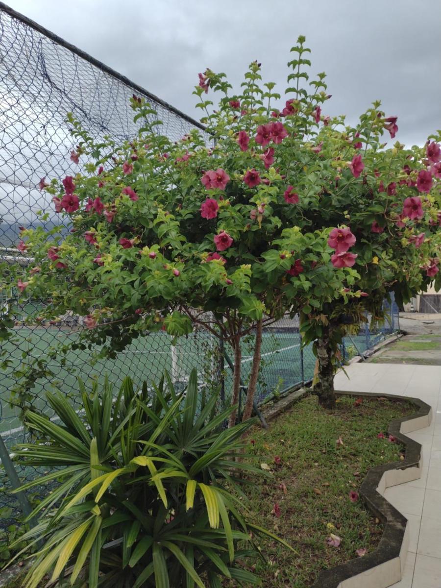 Ilhabela Tênis Clube