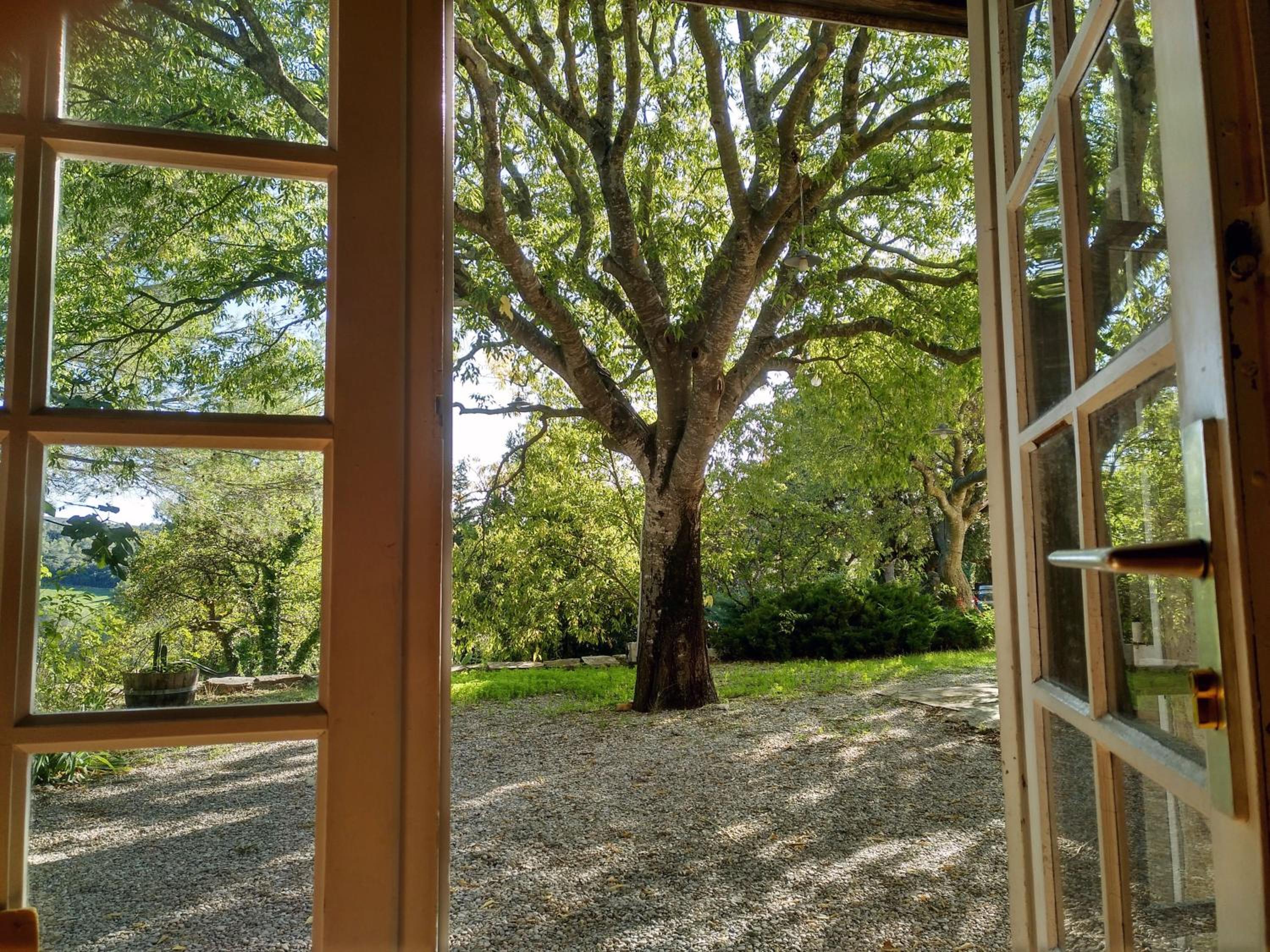 Maison Catalina, photo 7