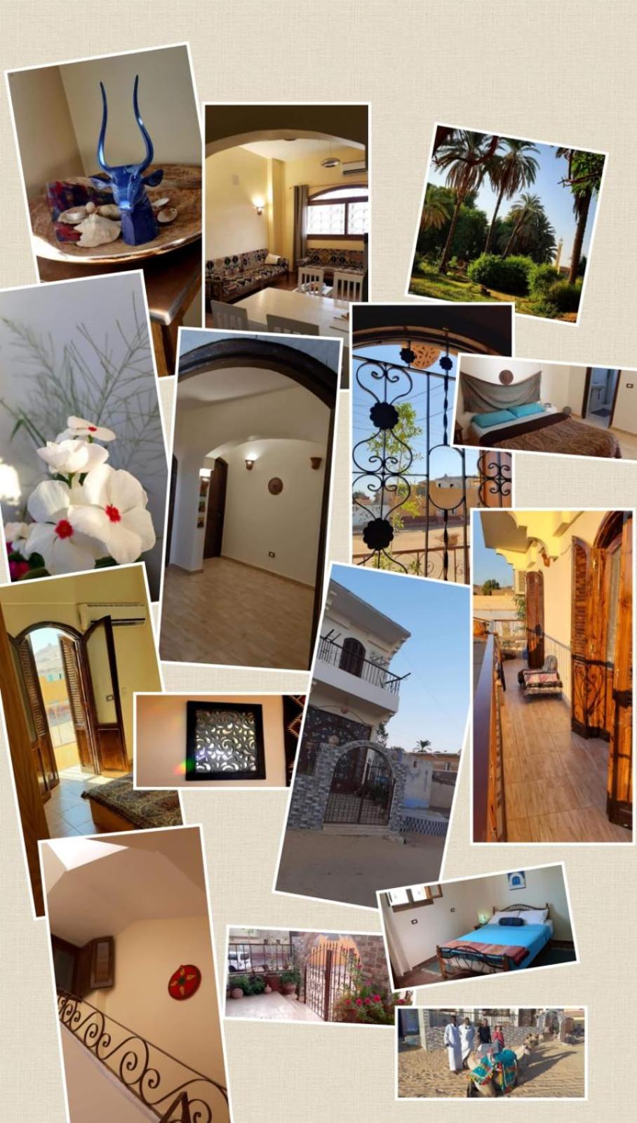 Habibi Nubian Guest House-Nubian Hospitality