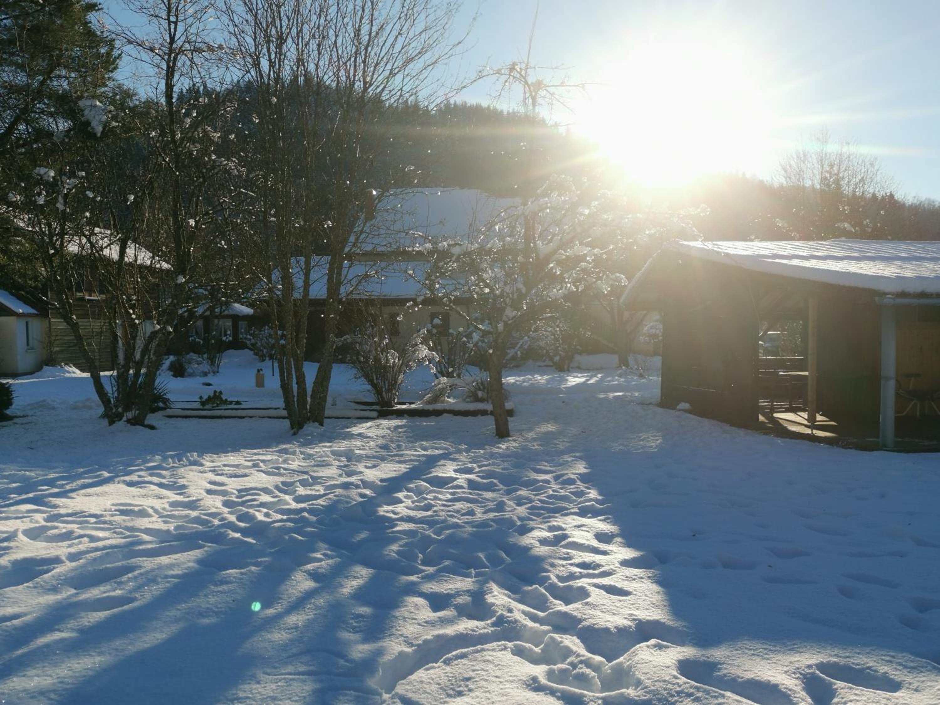 Photo 45