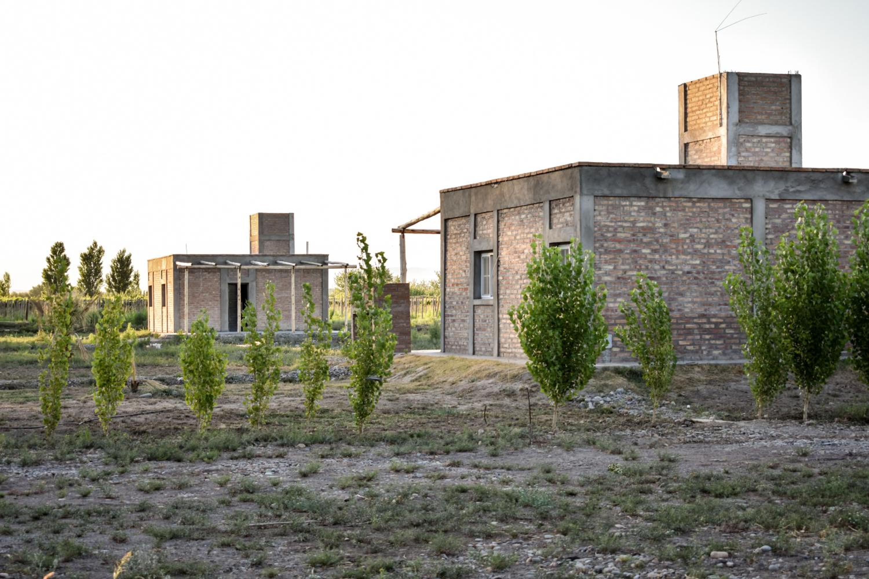 Cabañas de la bodega Romano-Pin