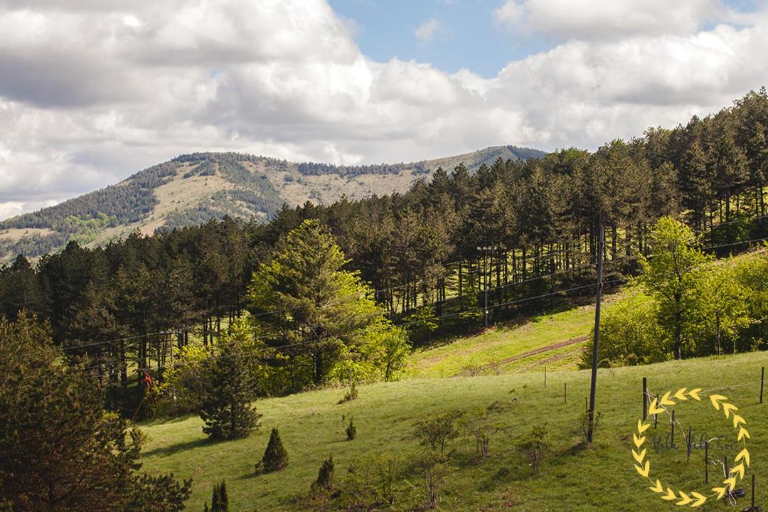 Vila Vela Goc view 4