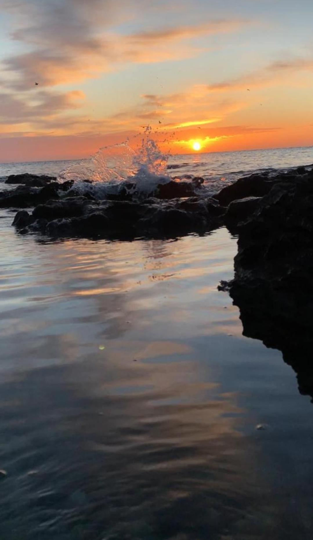 Sole del Mediterraneo