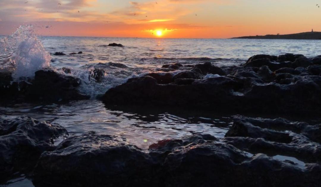 Sole del Mediterraneo
