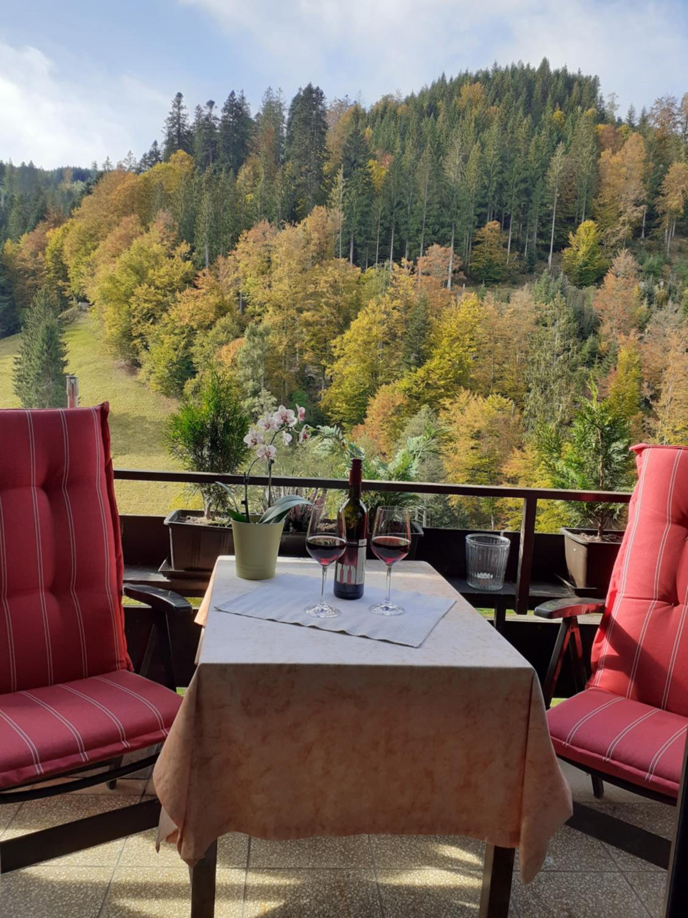 Ferienwohnung Tonbachtal view 4