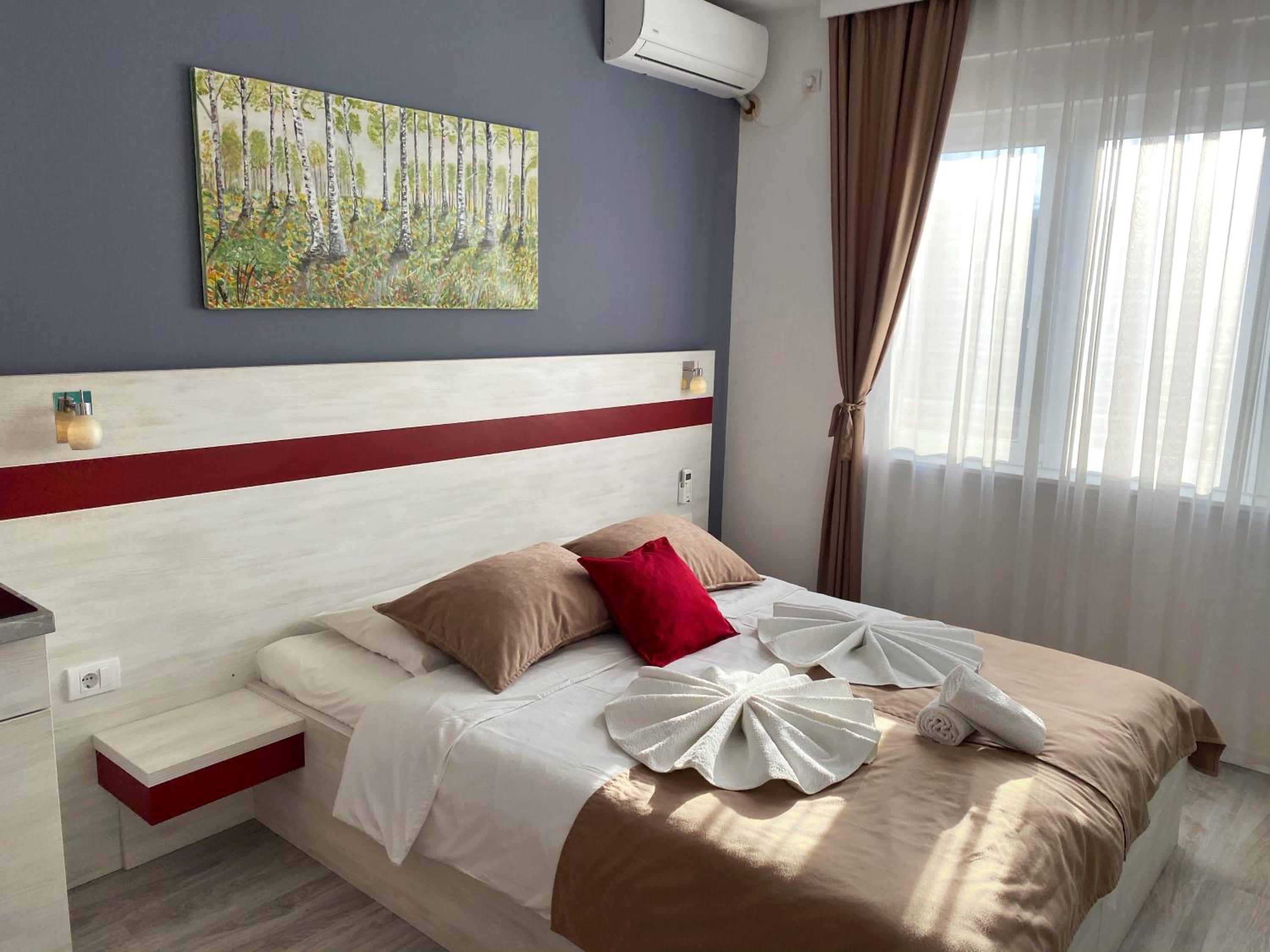 Apartmani Banja SPA view 3