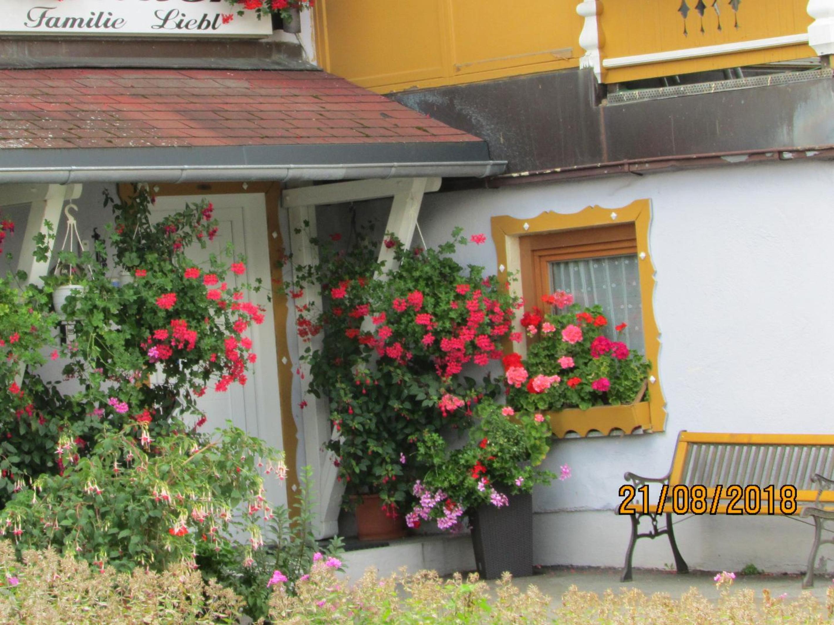 Apartments bei Familie Liebl